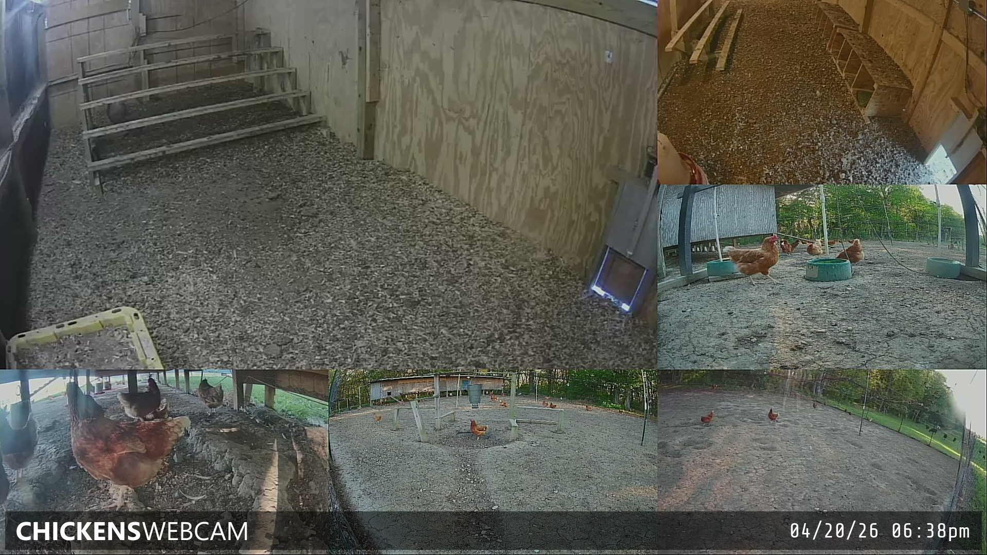 Twitch Stream Preview