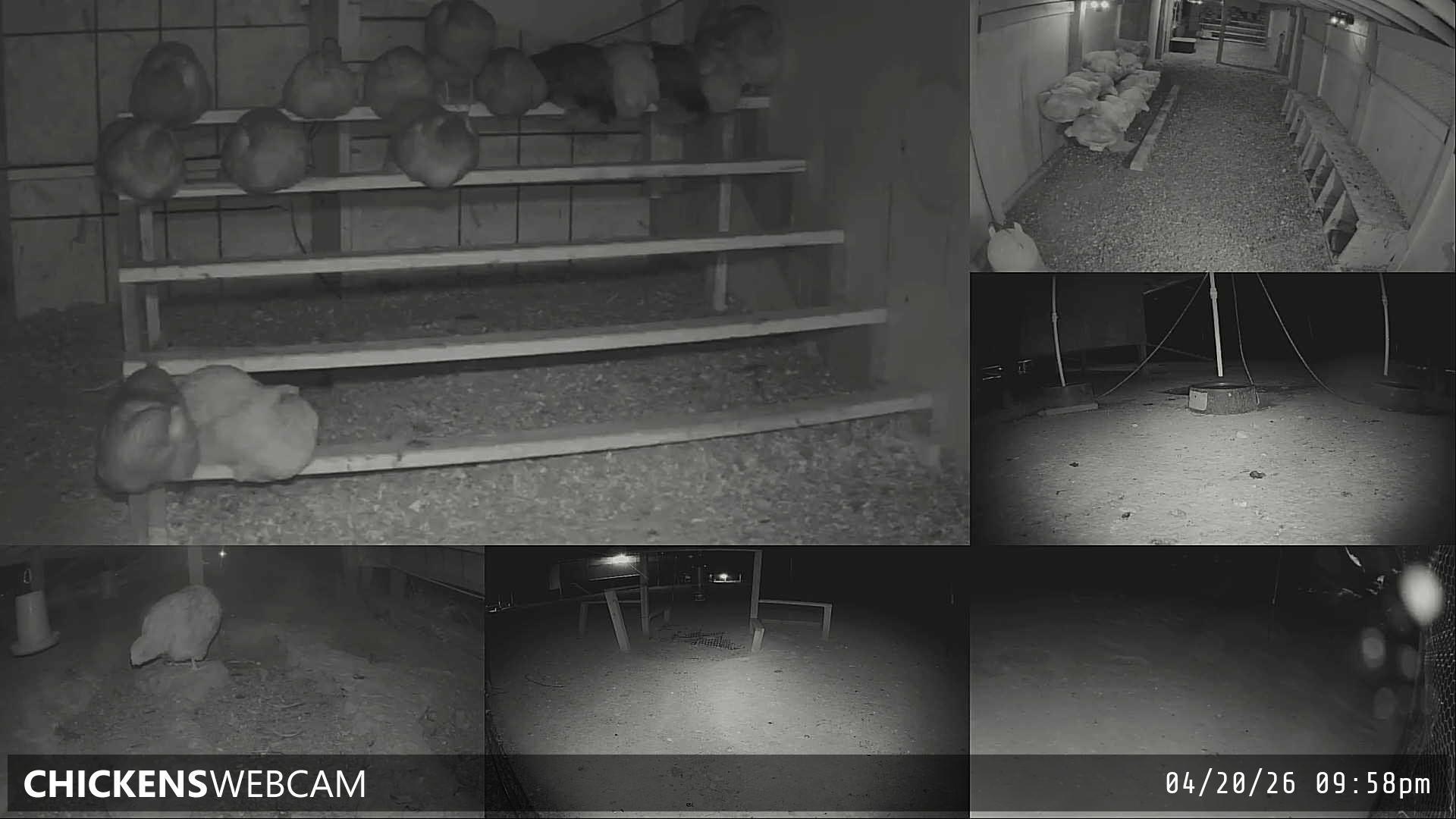 Twitch Stream Preview