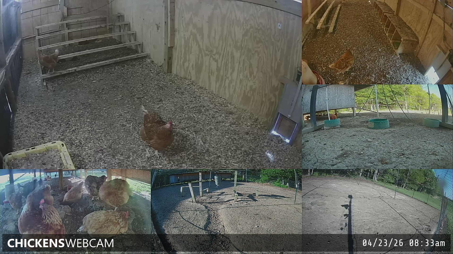 Twitch Stream Preview