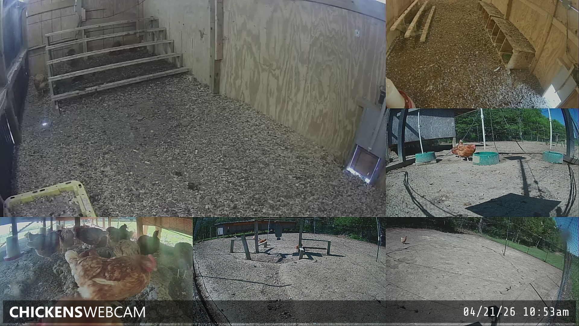 Twitch Stream Preview