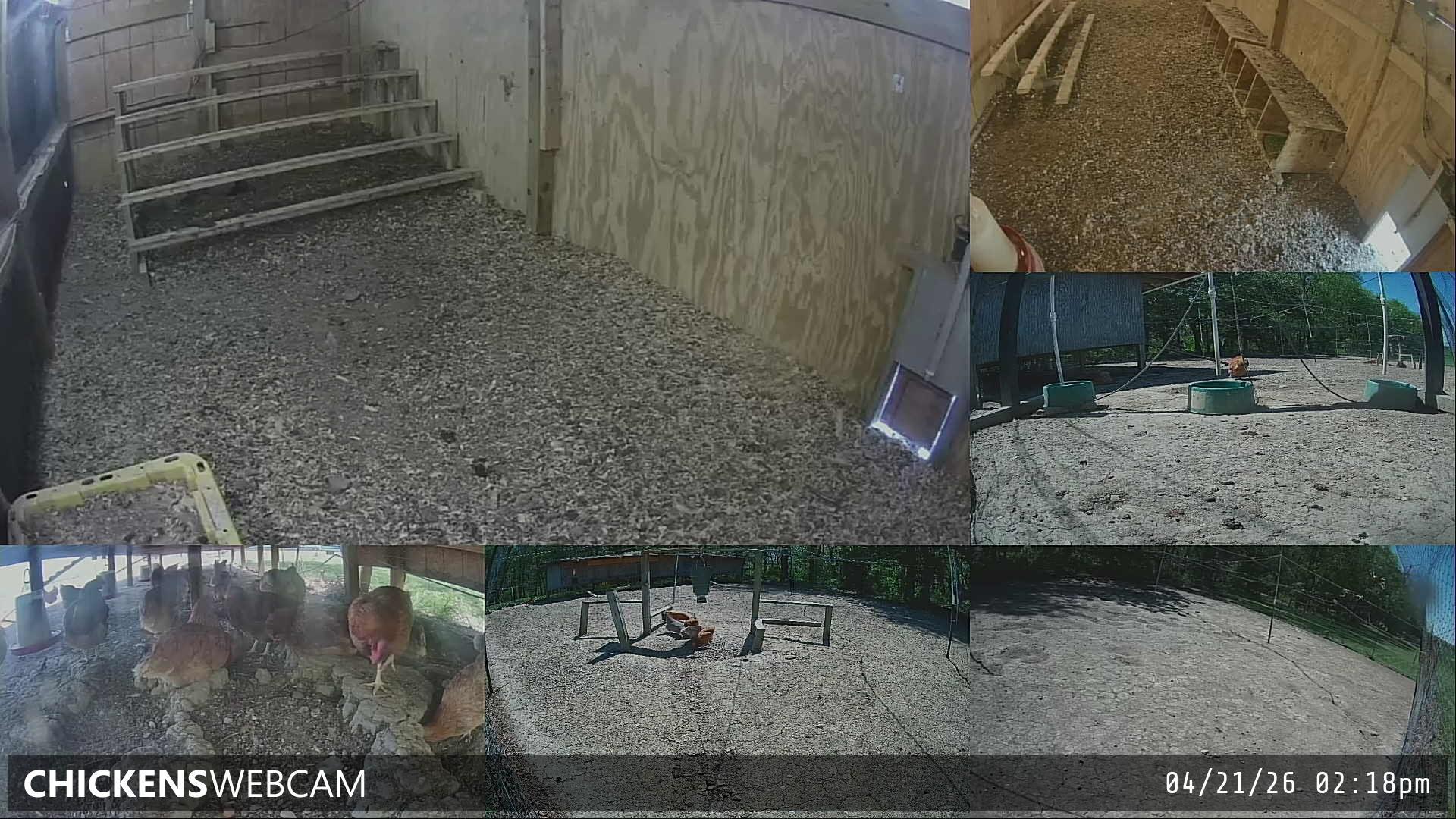 Twitch Stream Preview