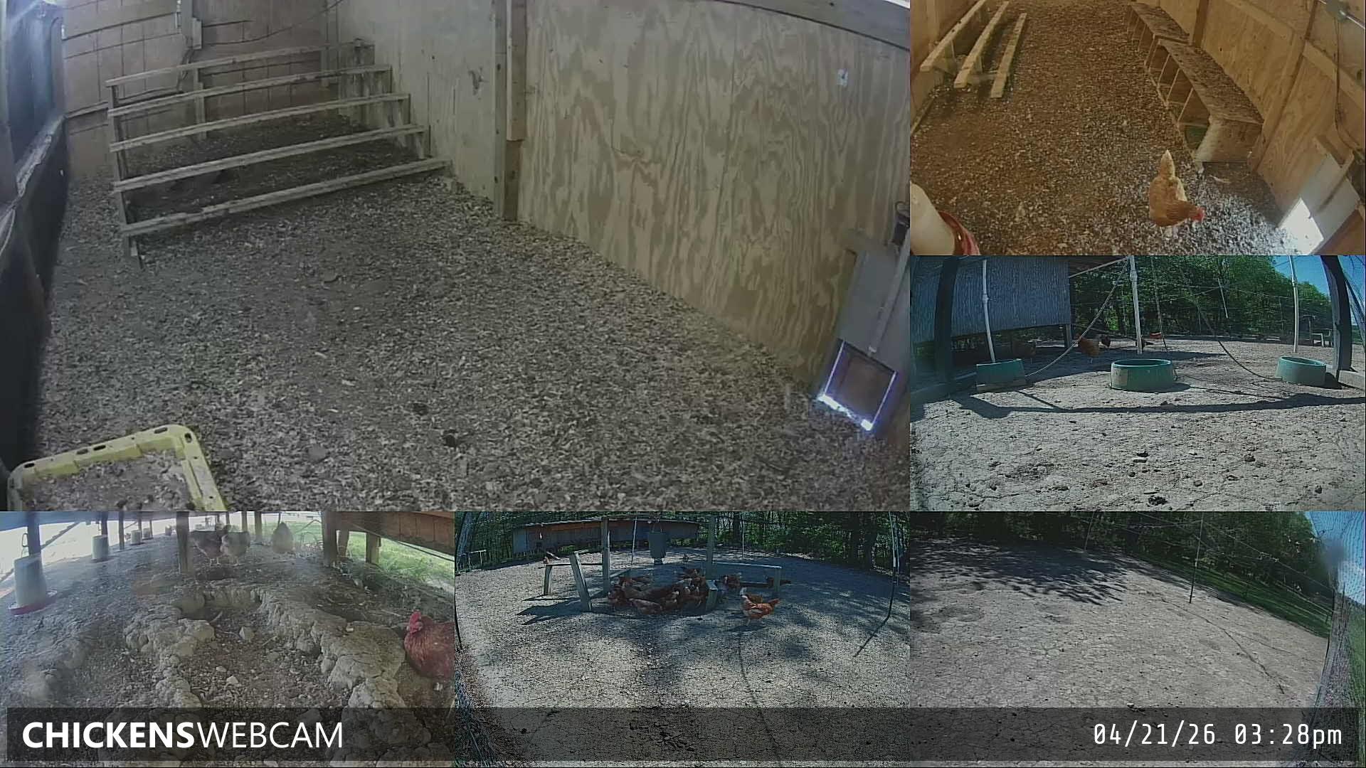 Twitch Stream Preview