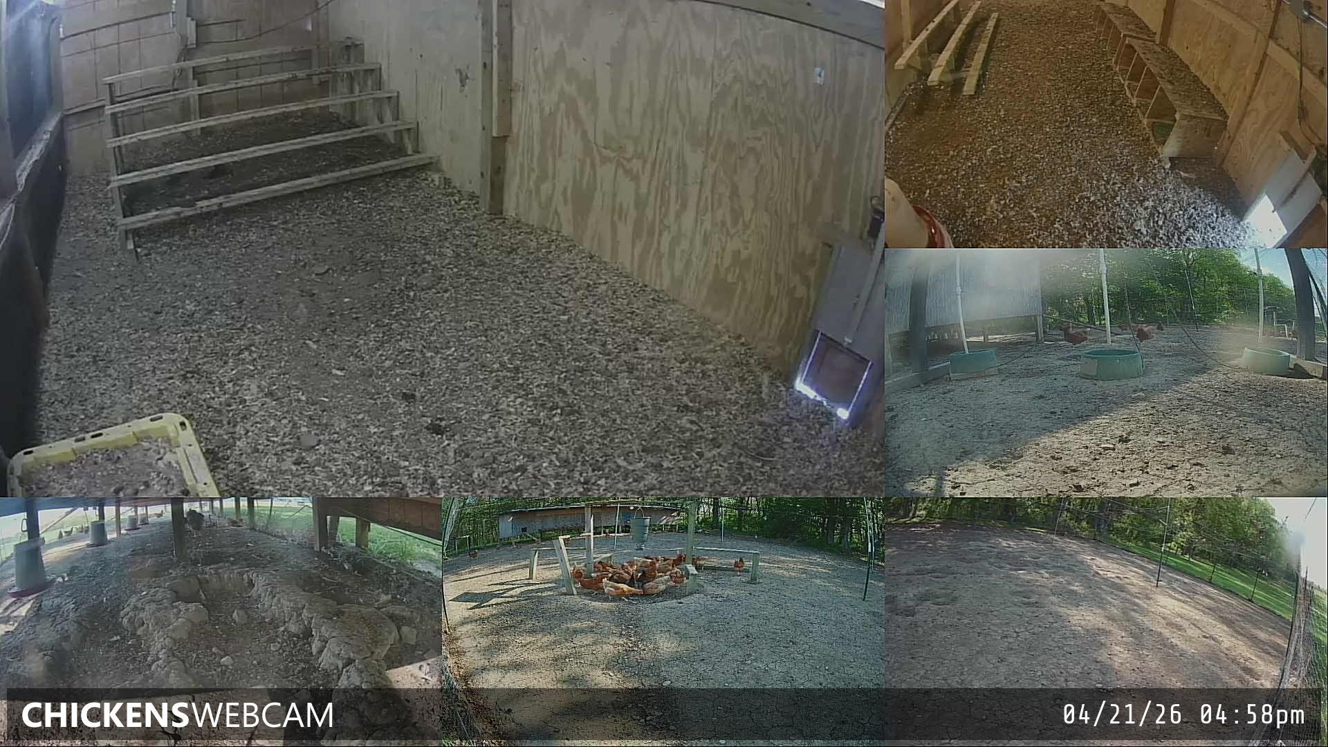 Twitch Stream Preview