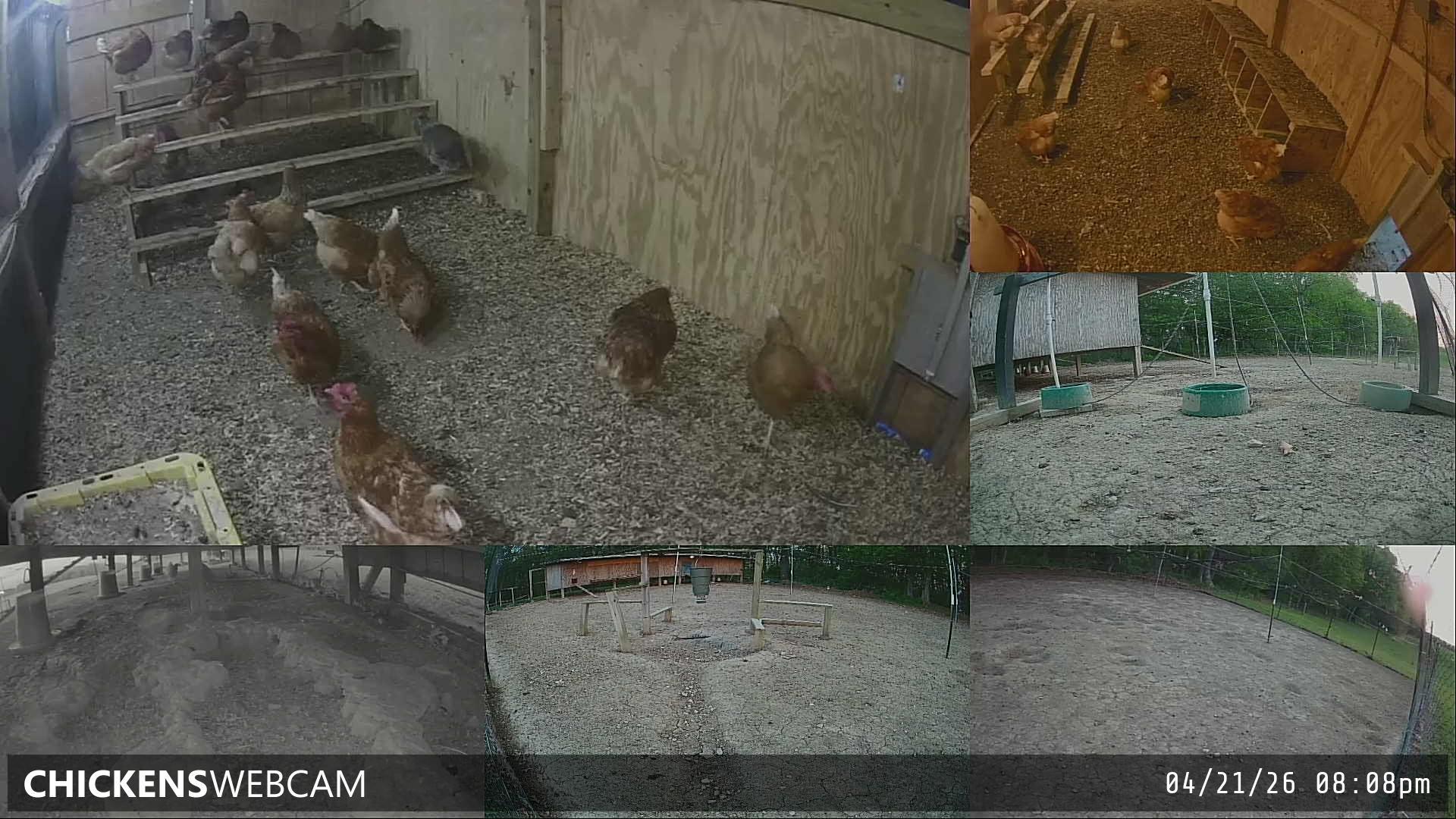 Twitch Stream Preview