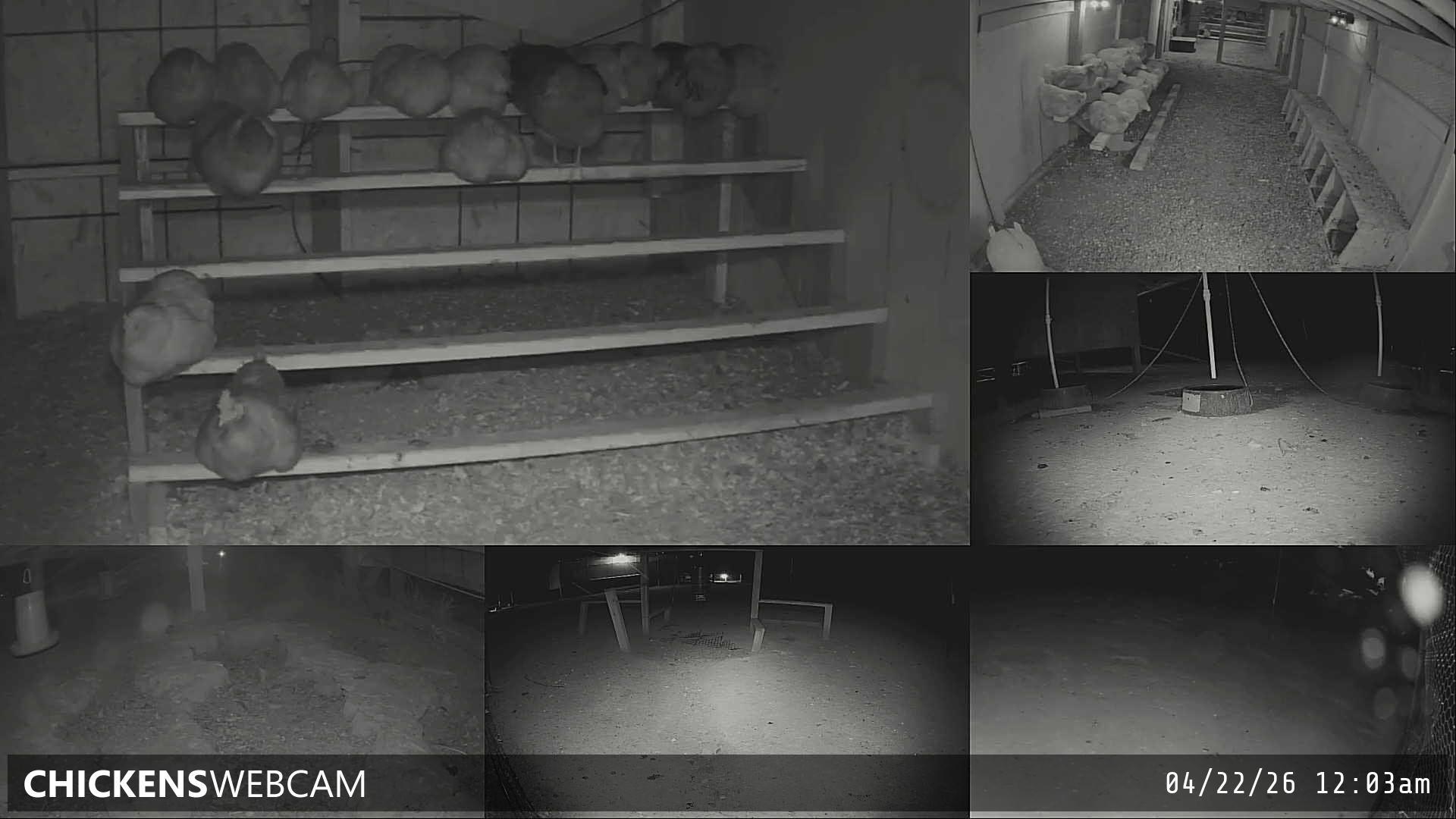 Twitch Stream Preview