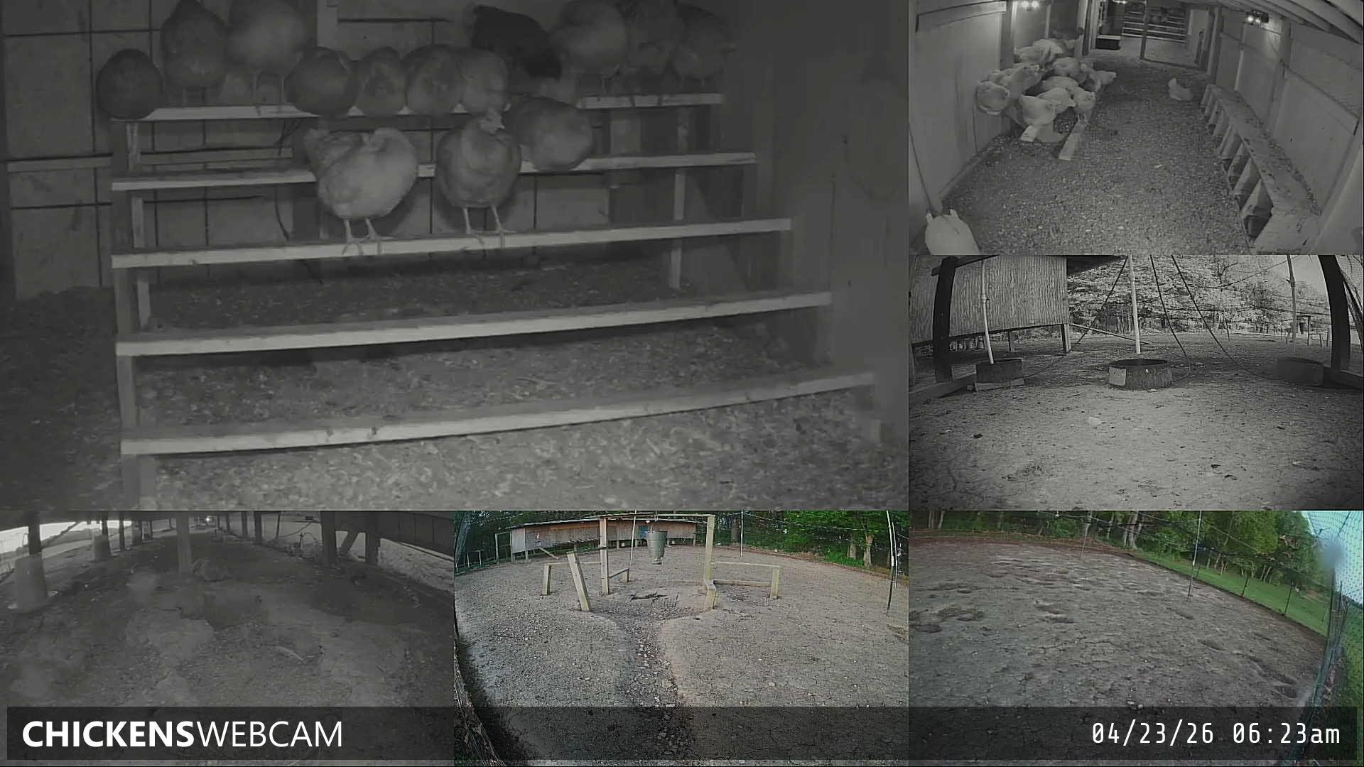 Twitch Stream Preview