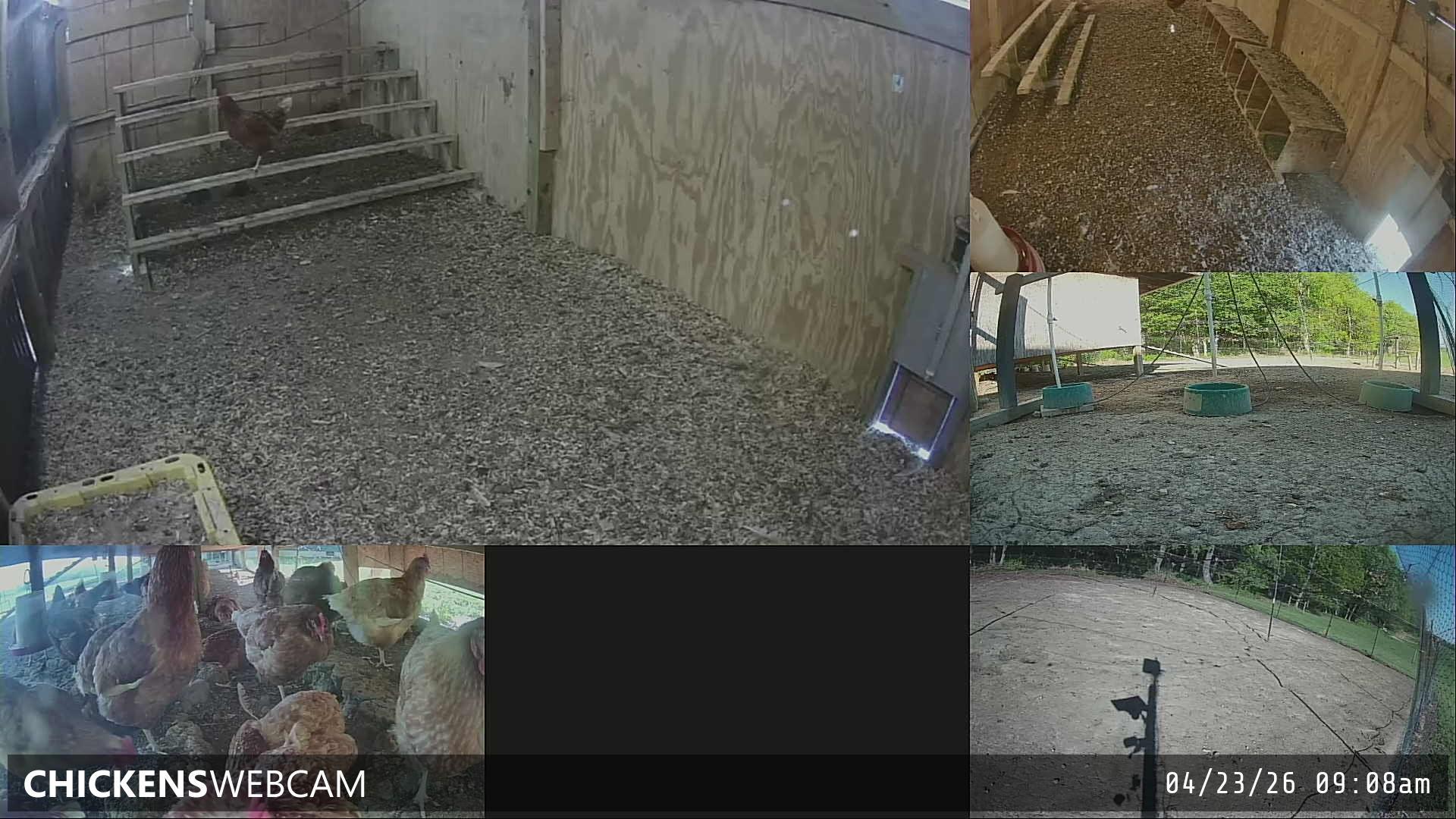 Twitch Stream Preview