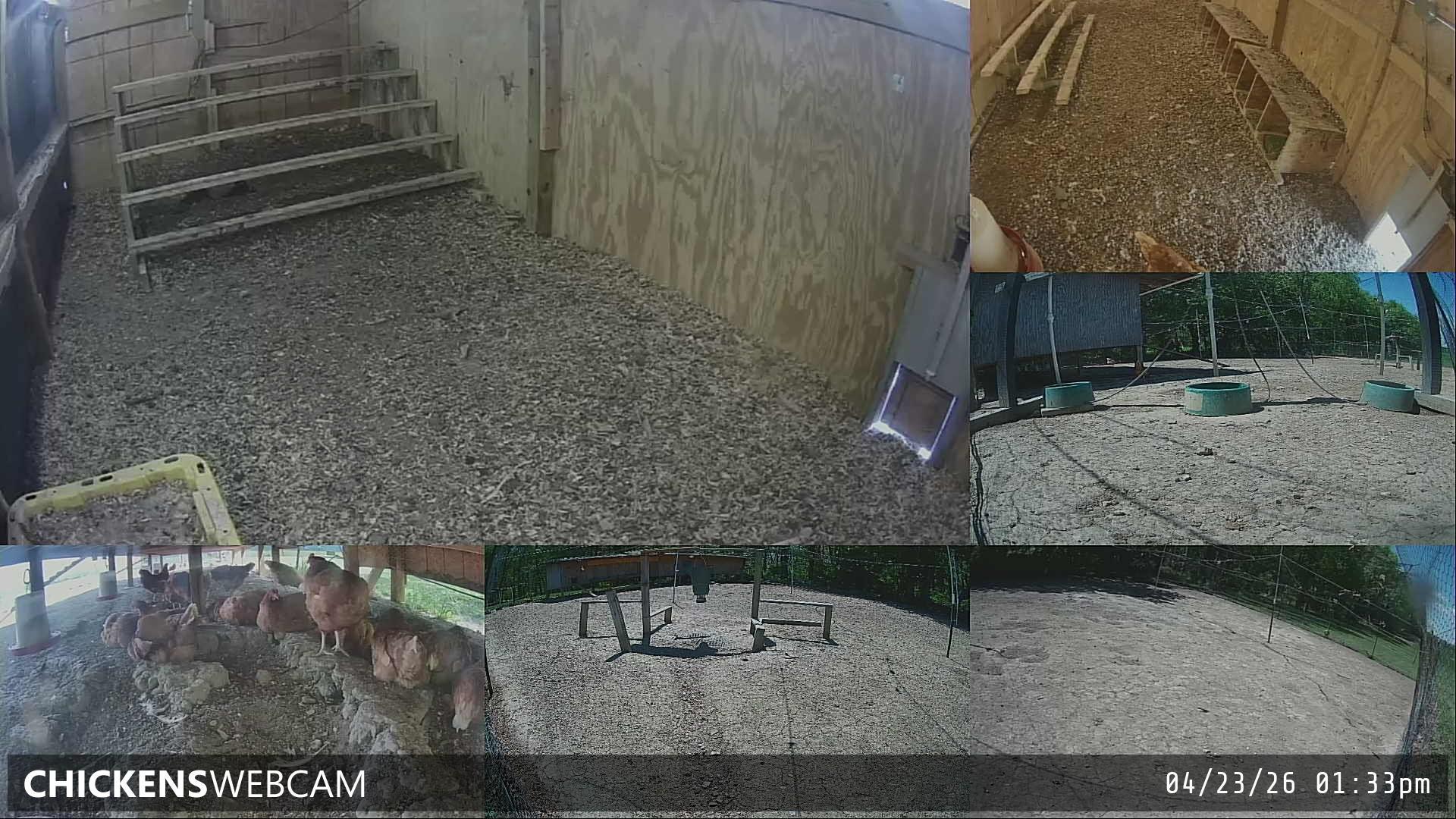 Twitch Stream Preview