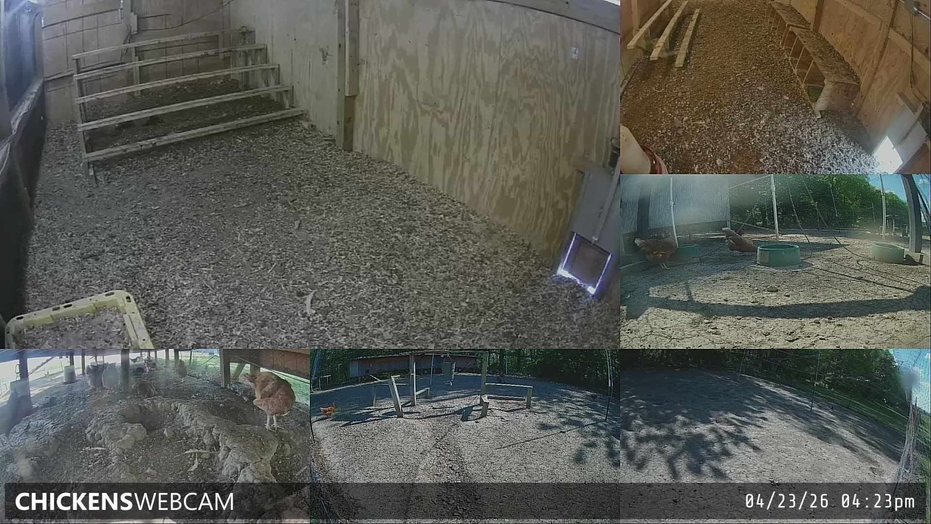 Twitch Stream Preview