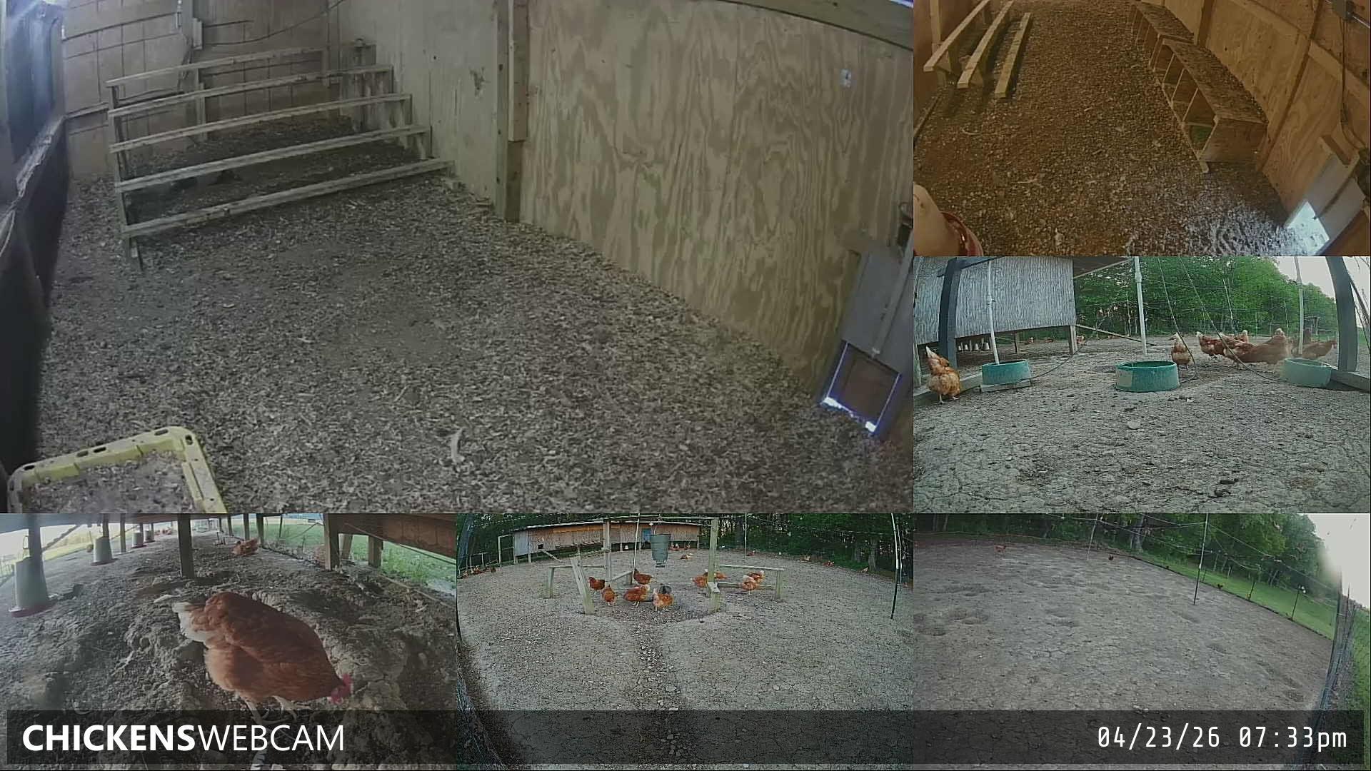 Twitch Stream Preview