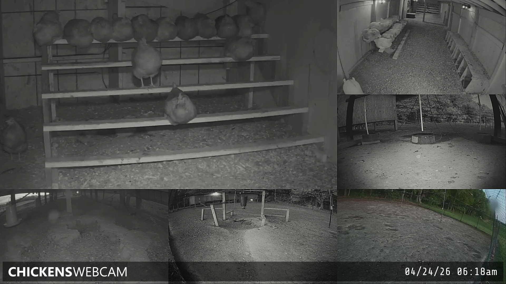 Twitch Stream Preview