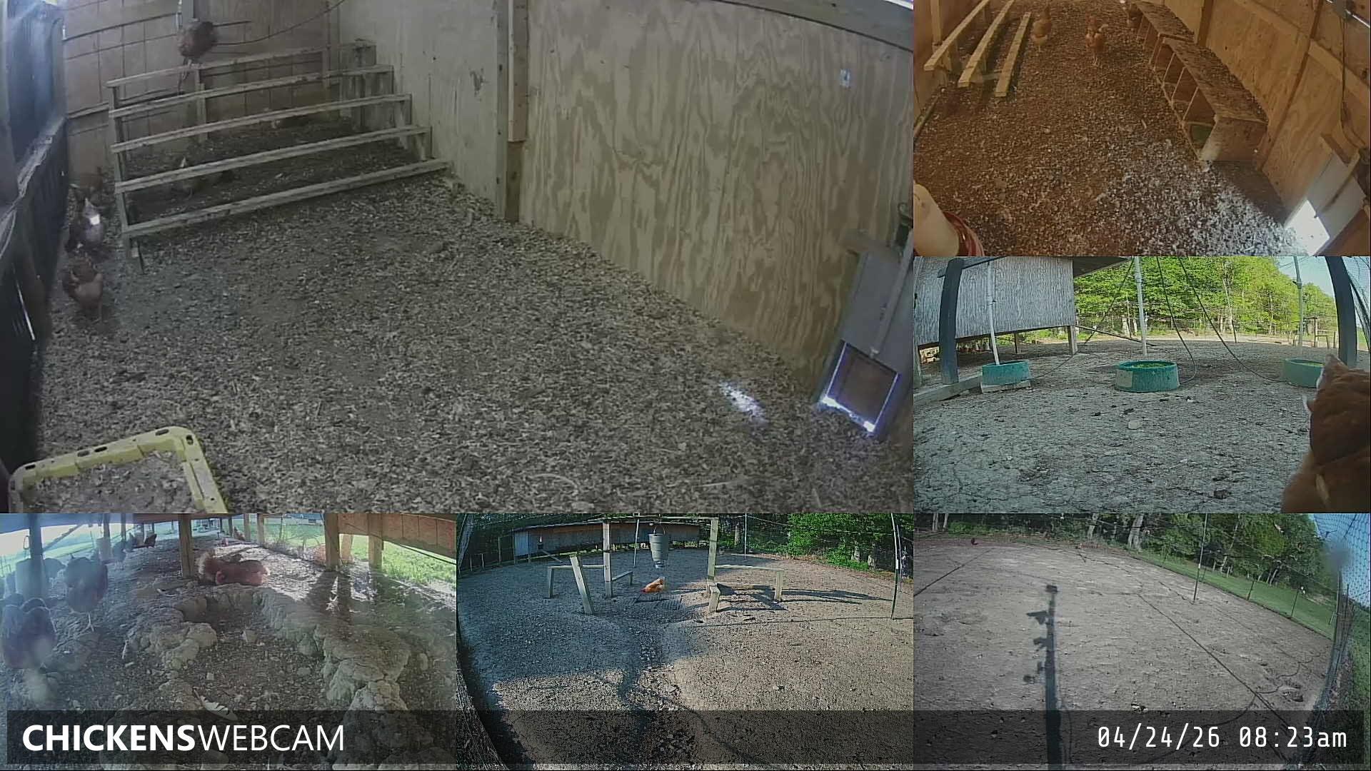 Twitch Stream Preview