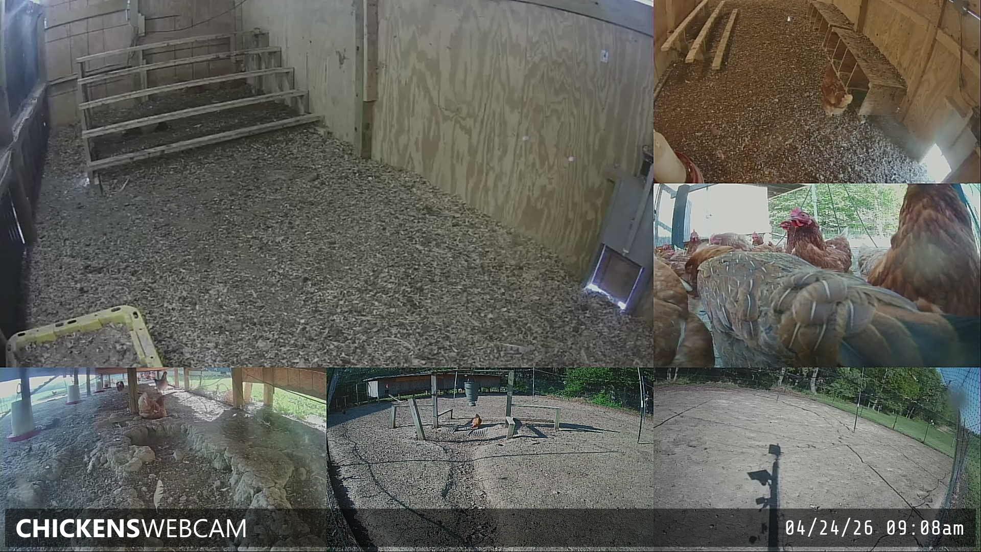 Twitch Stream Preview