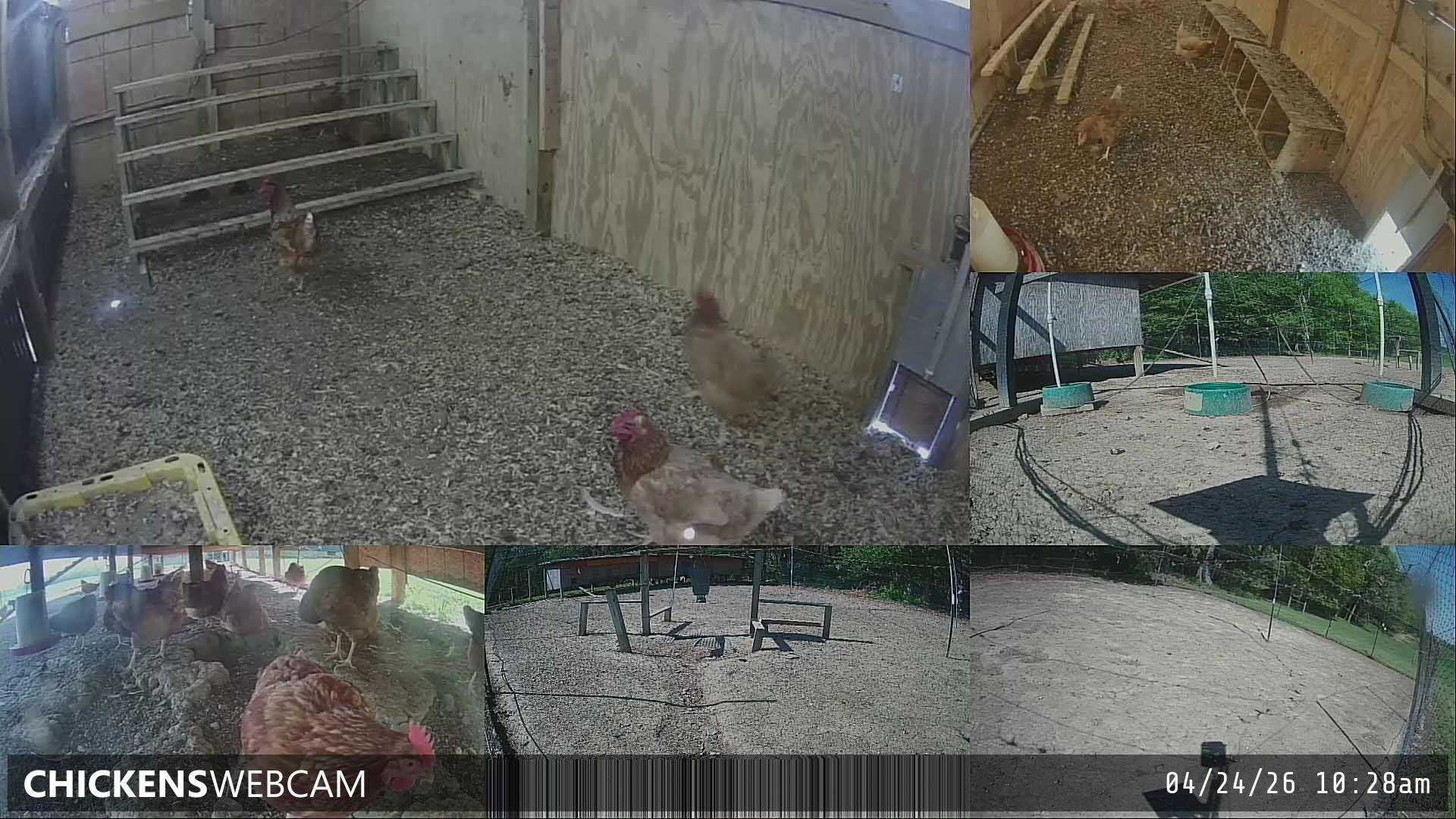 Twitch Stream Preview