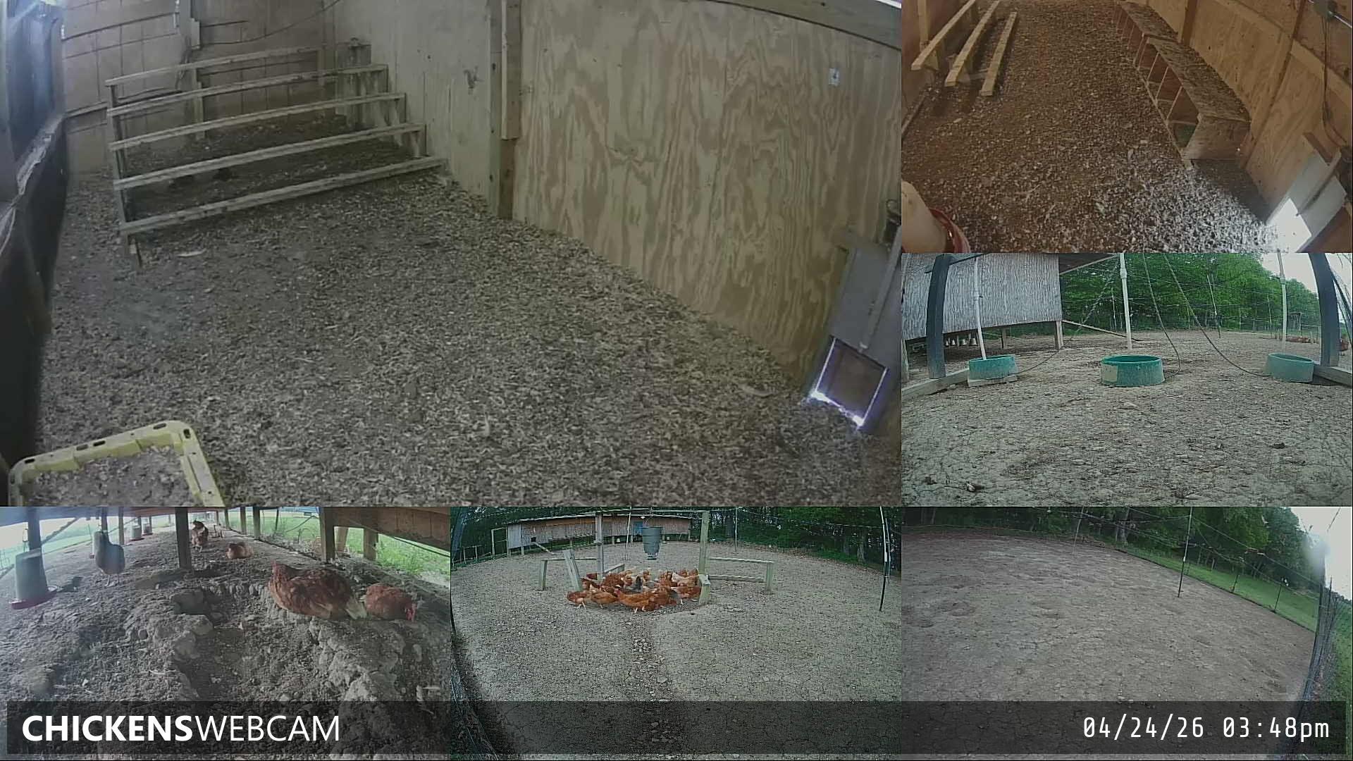 Twitch Stream Preview