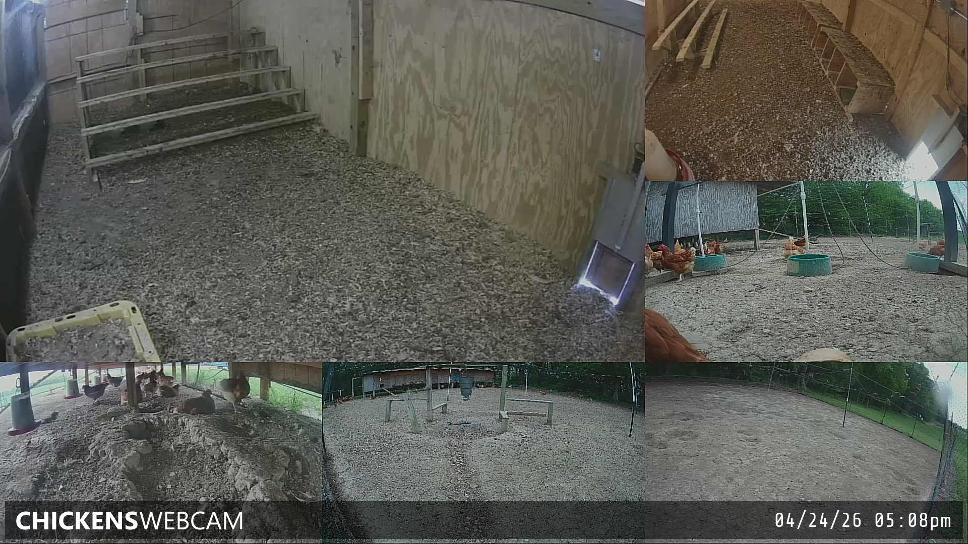 Twitch Stream Preview