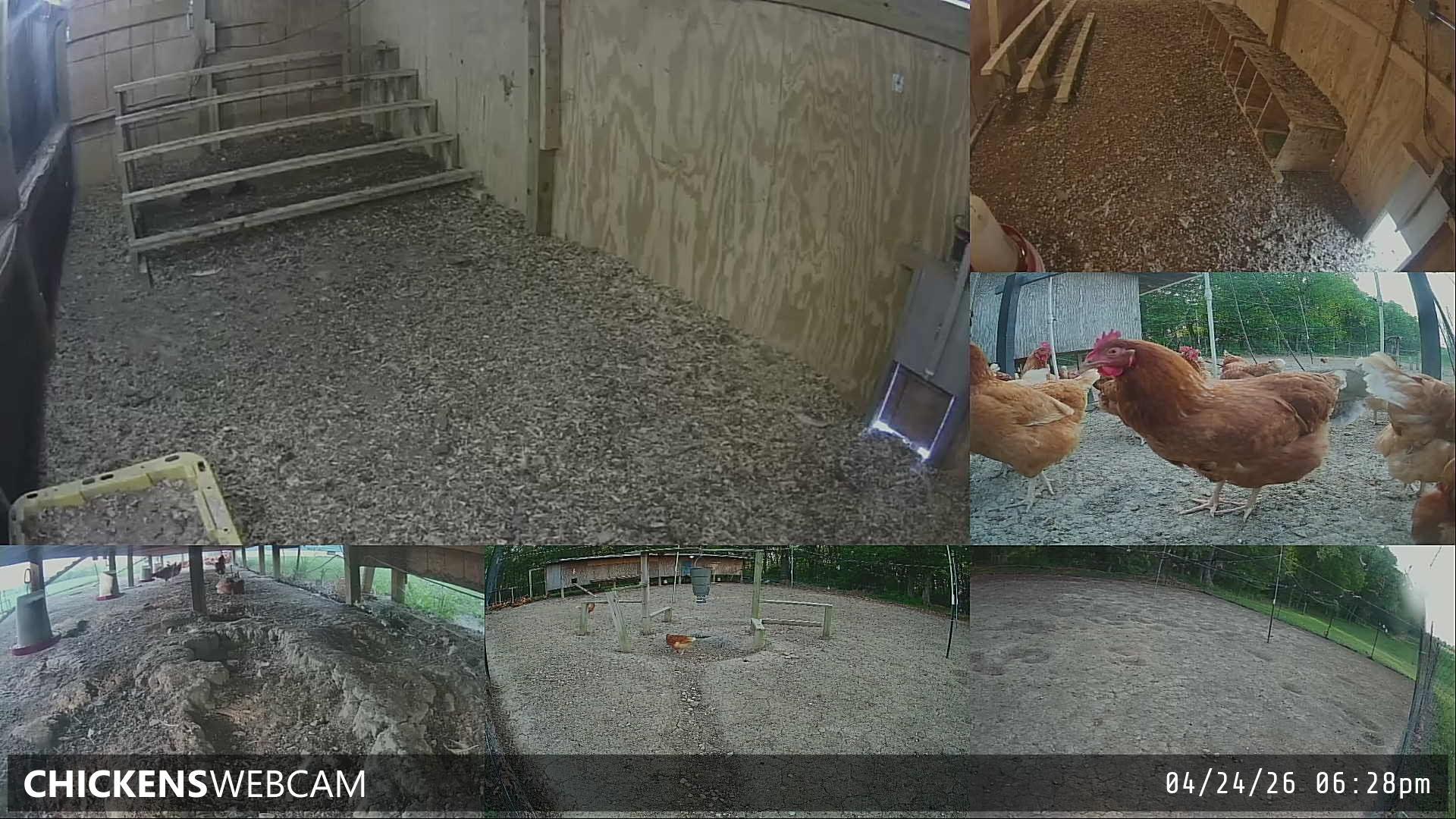 Twitch Stream Preview