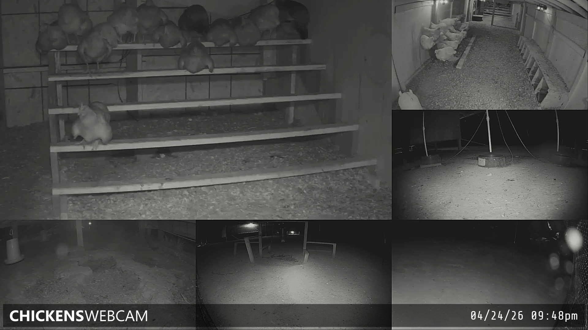 Twitch Stream Preview