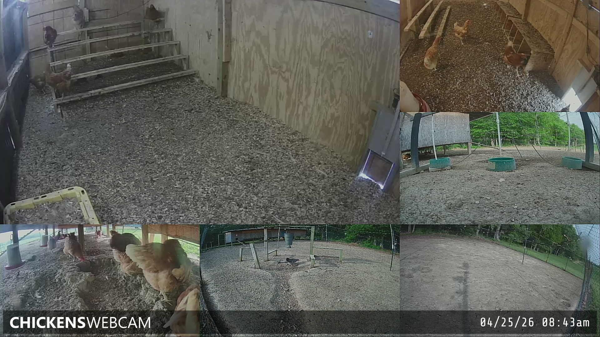 Twitch Stream Preview