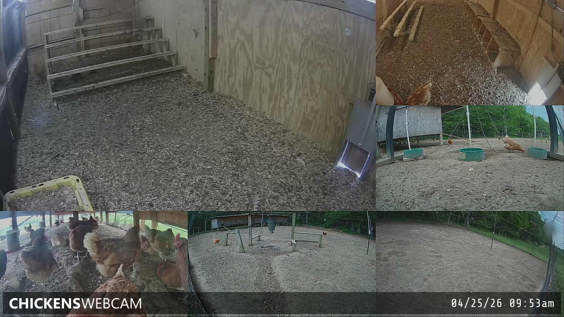 Twitch Stream Preview