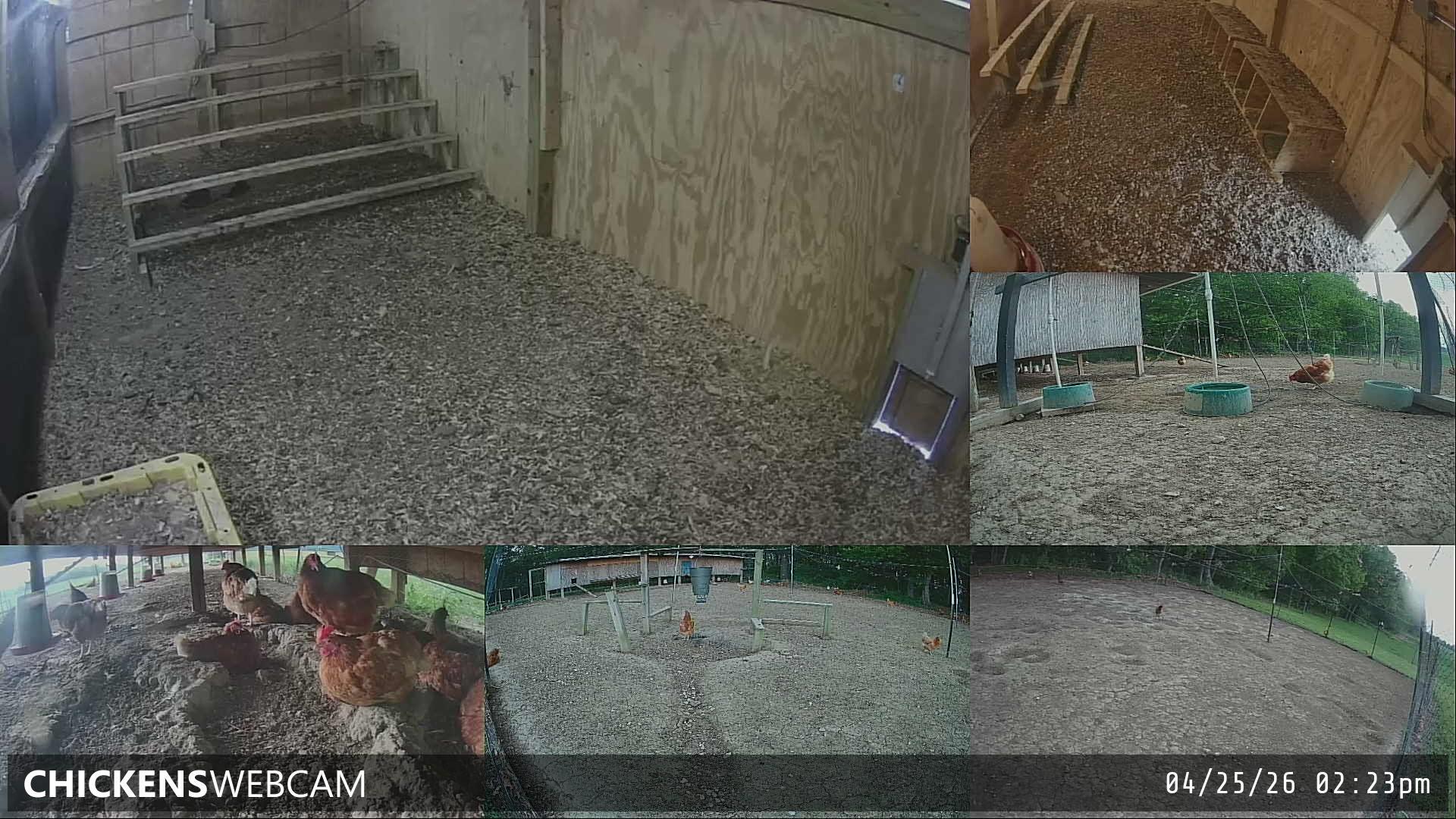 Twitch Stream Preview