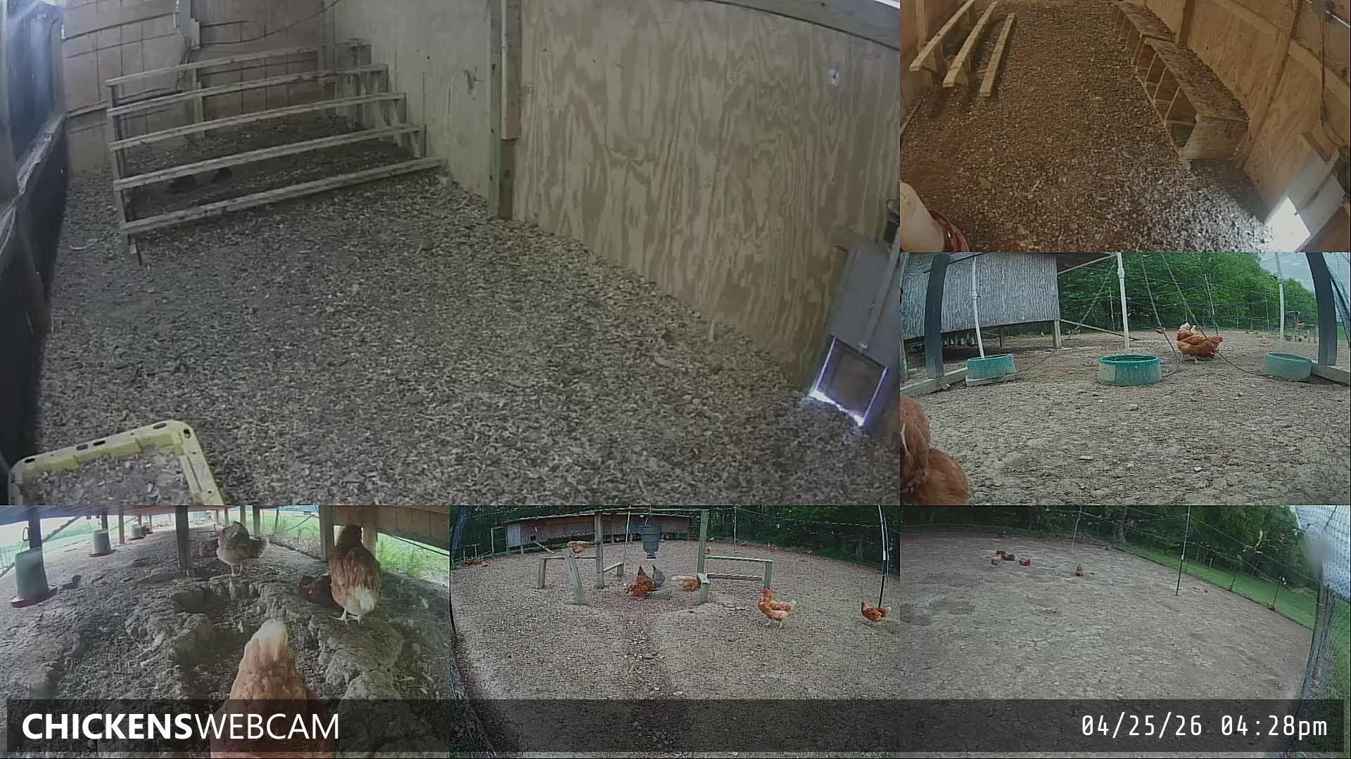 Twitch Stream Preview