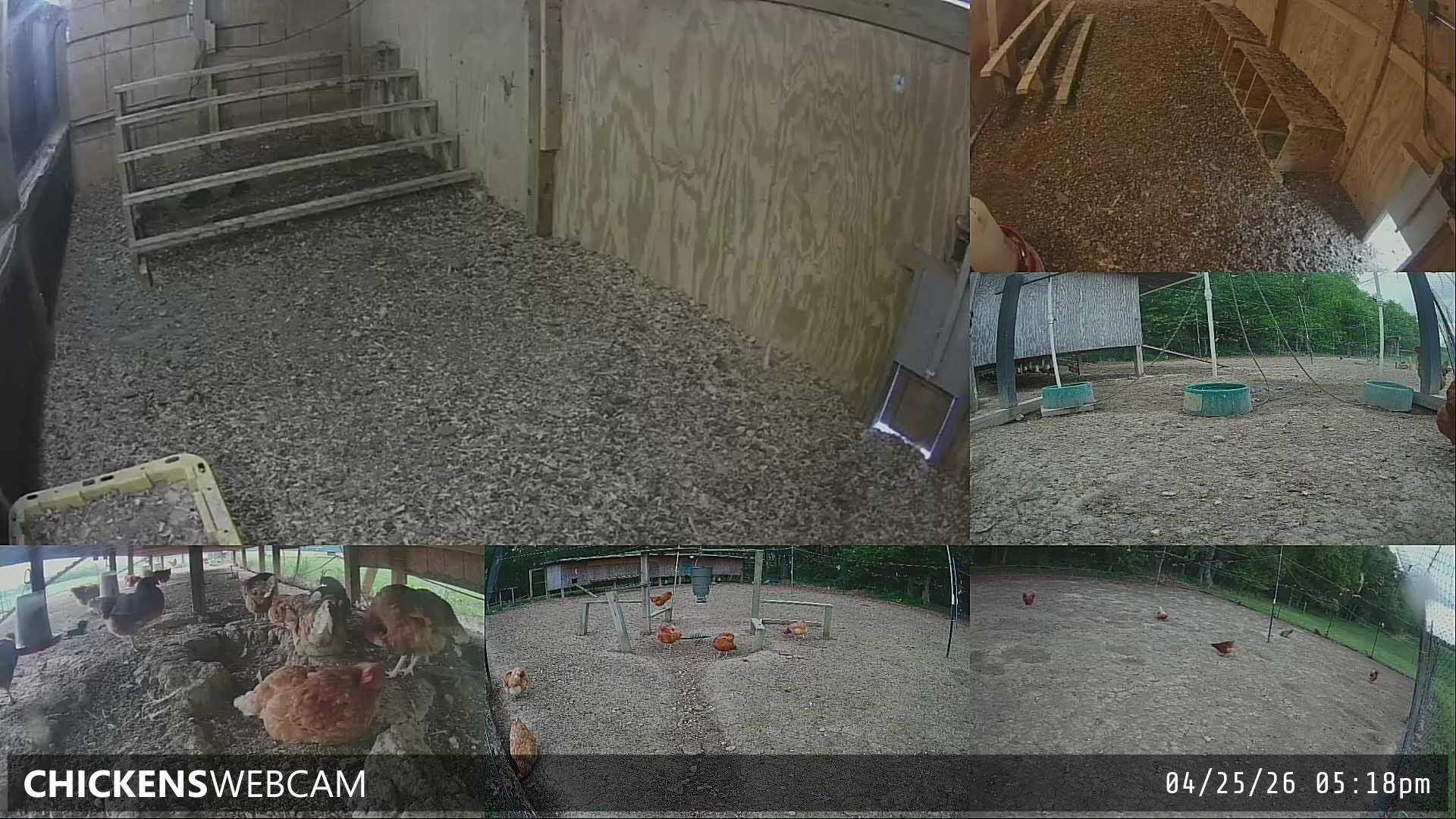 Twitch Stream Preview