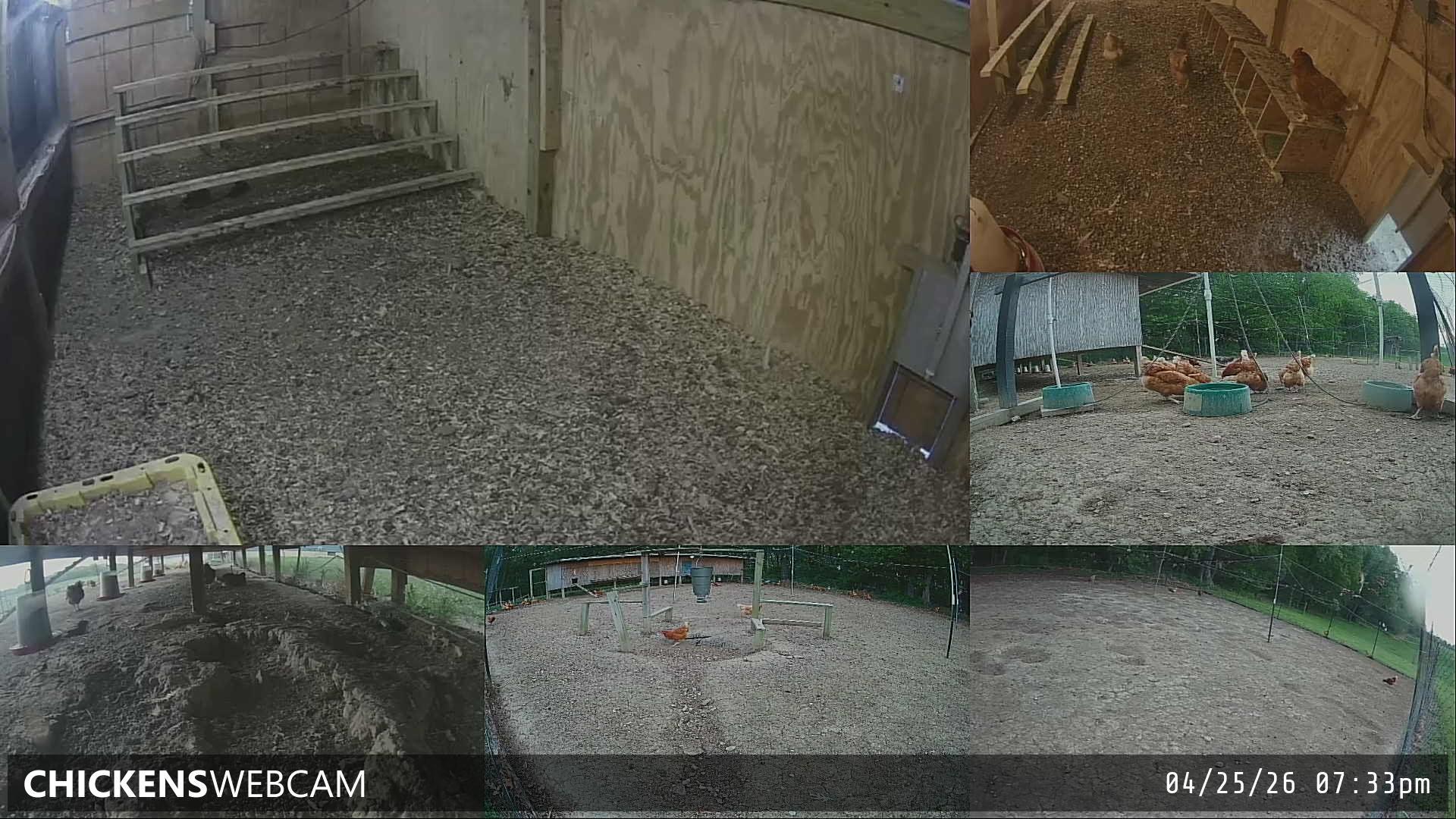 Twitch Stream Preview