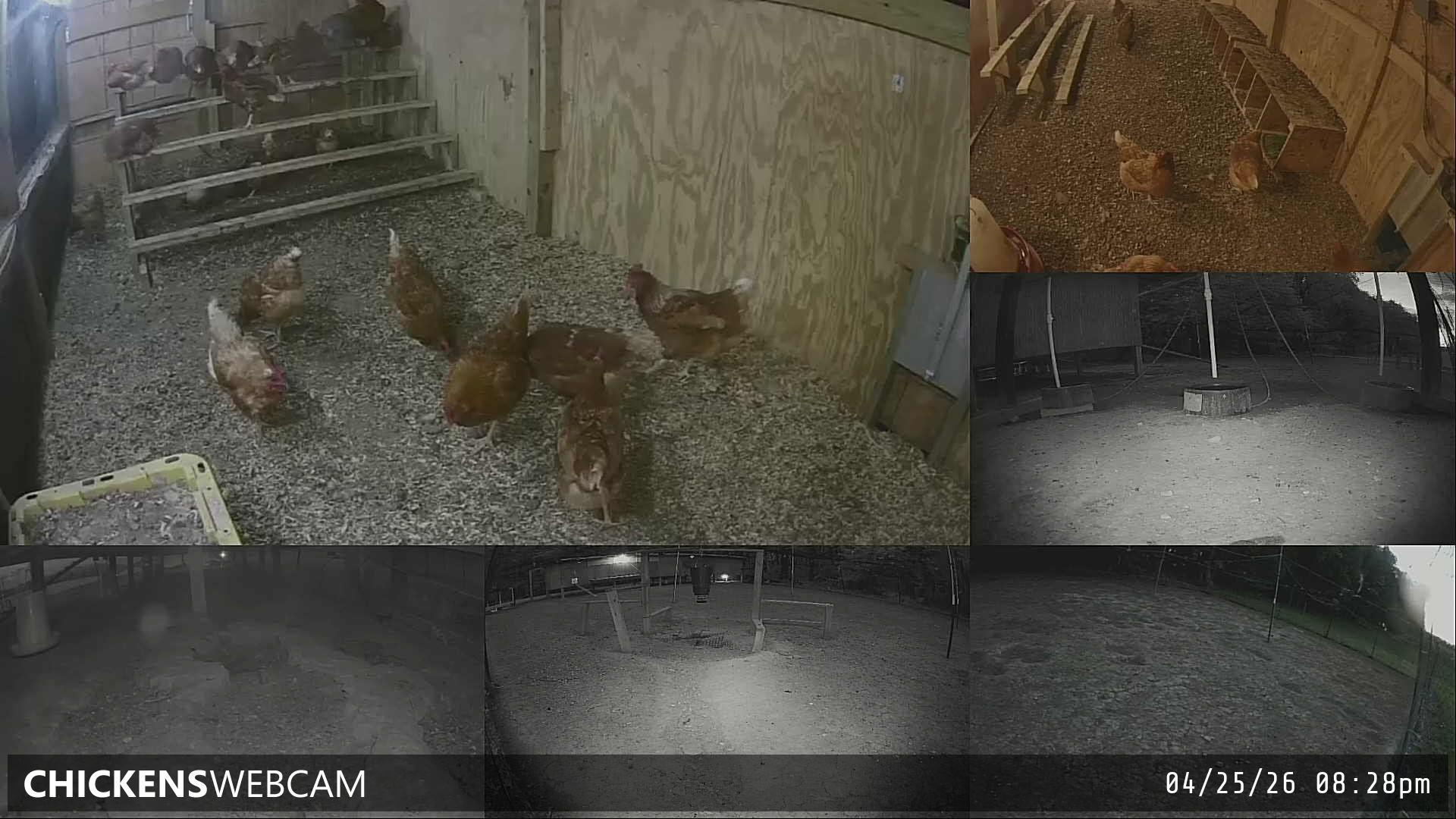 Twitch Stream Preview