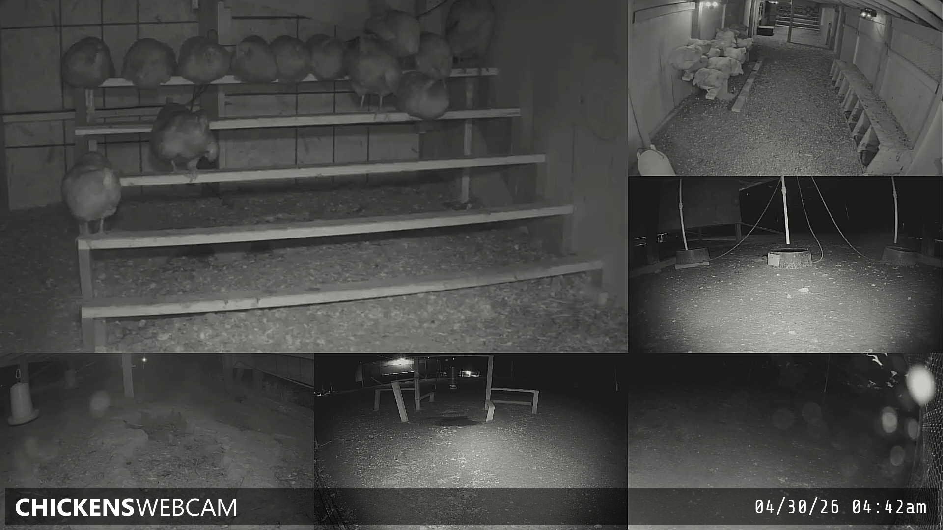 Twitch Stream Preview