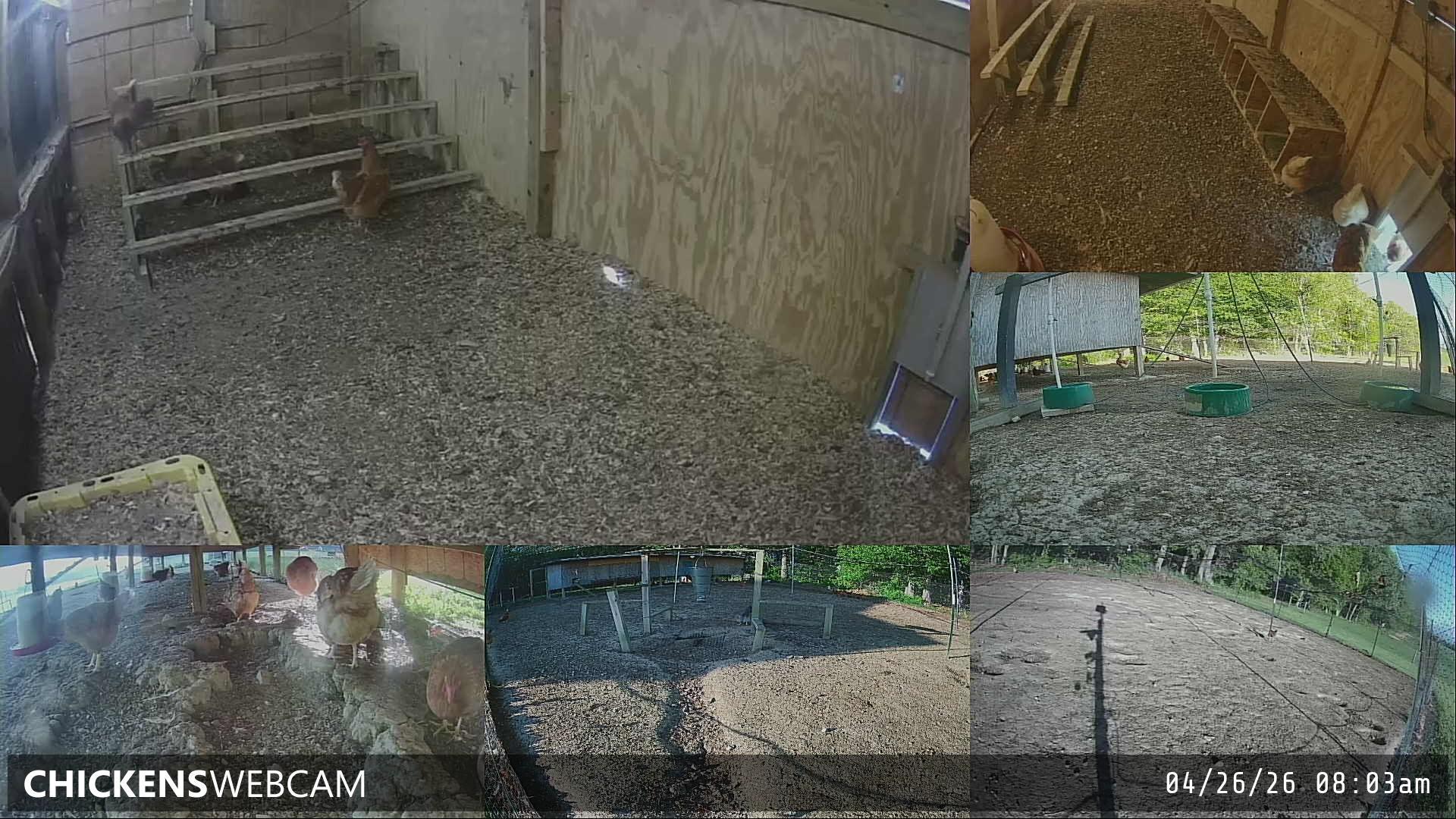 Twitch Stream Preview