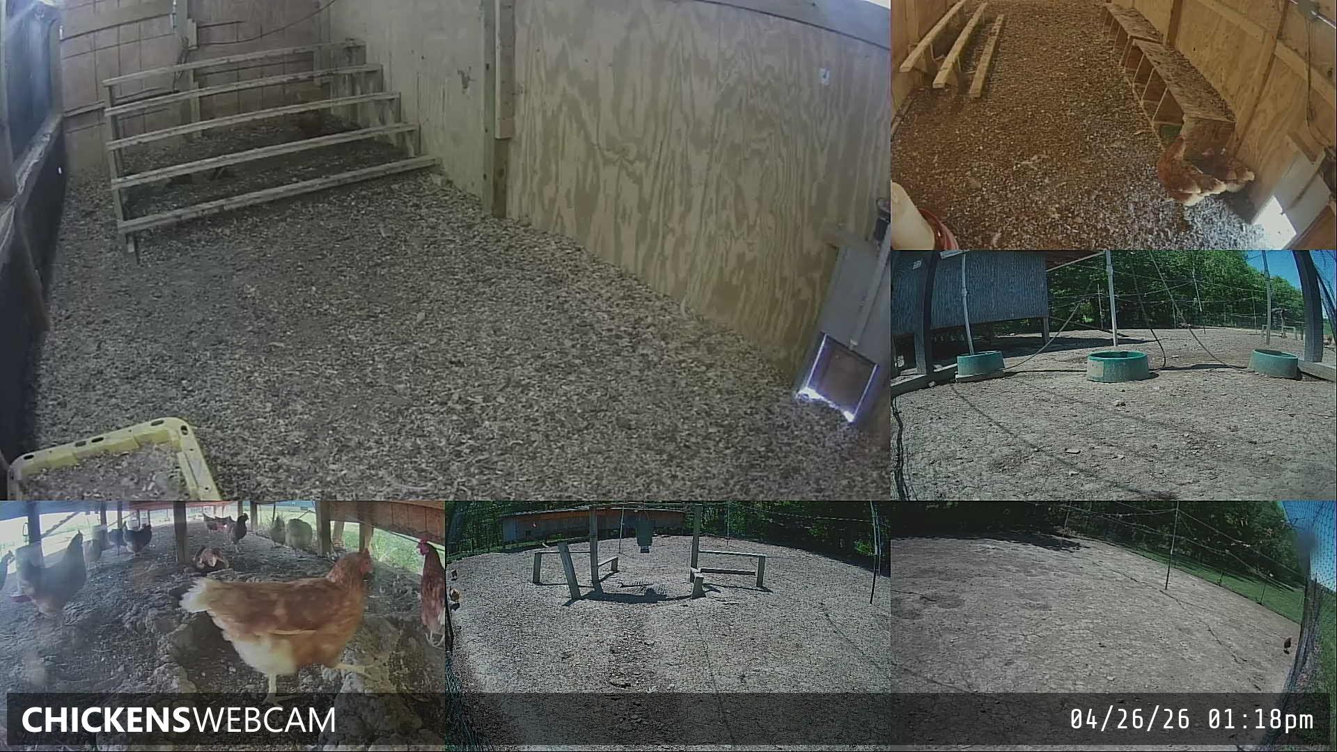 Twitch Stream Preview