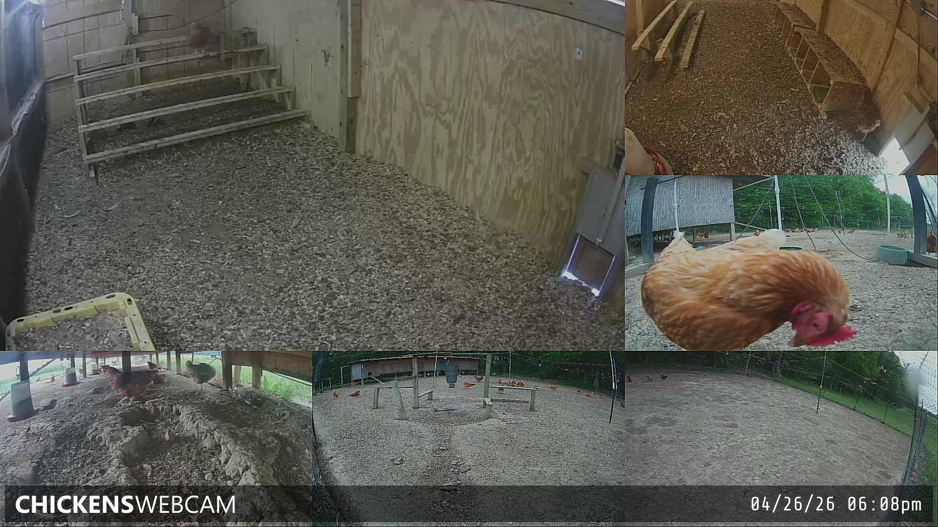 Twitch Stream Preview