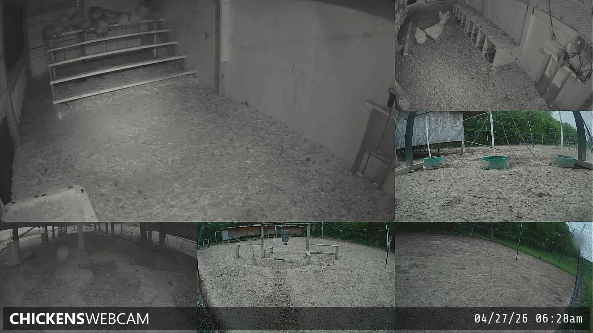 Twitch Stream Preview