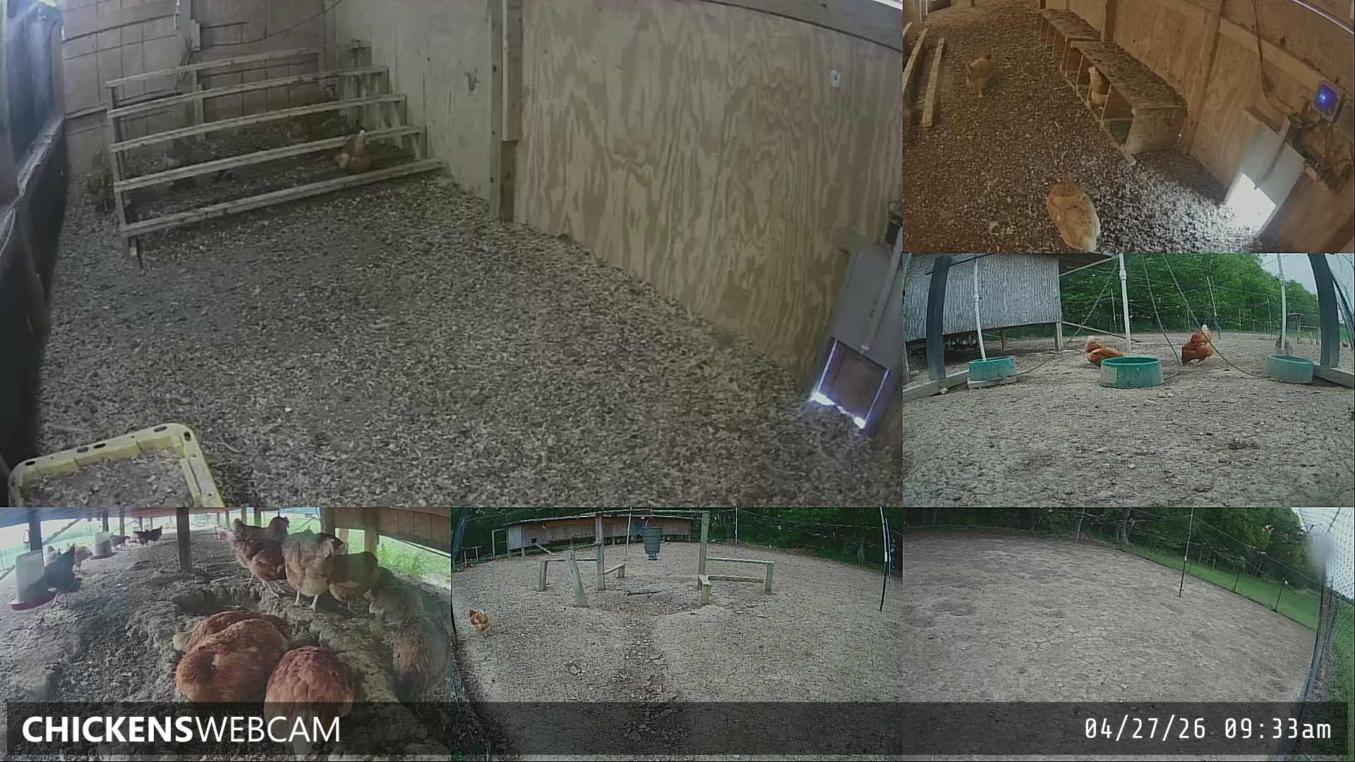 Twitch Stream Preview