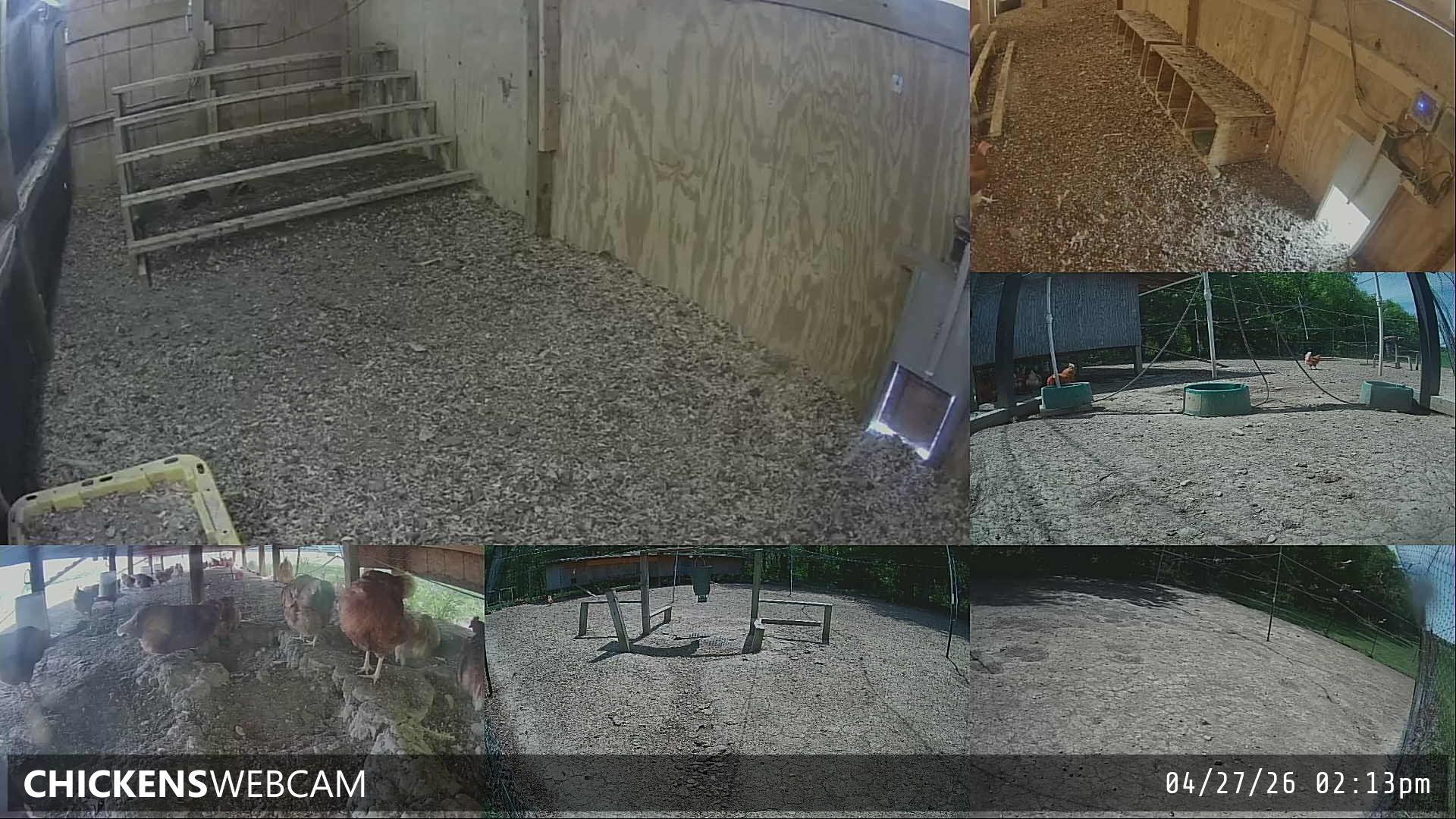 Twitch Stream Preview