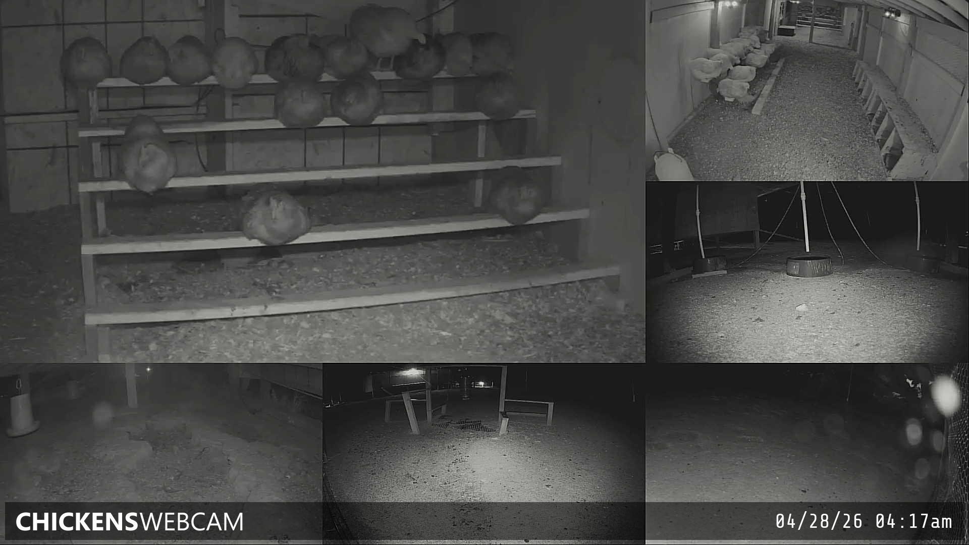 Twitch Stream Preview