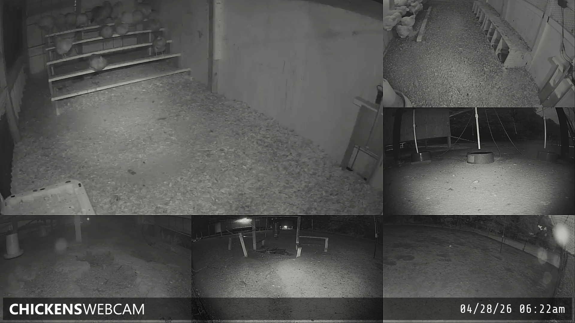 Twitch Stream Preview