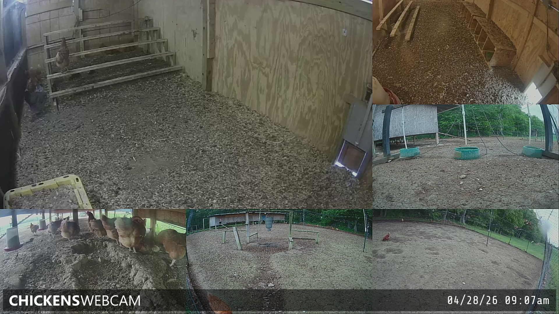 Twitch Stream Preview