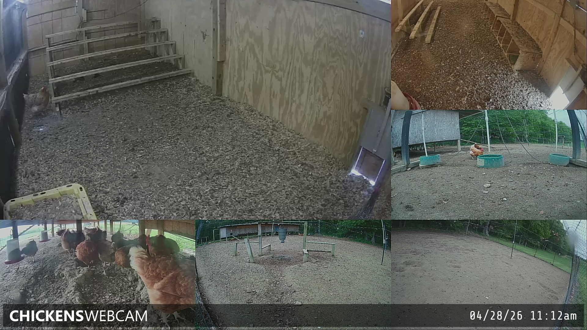 Twitch Stream Preview