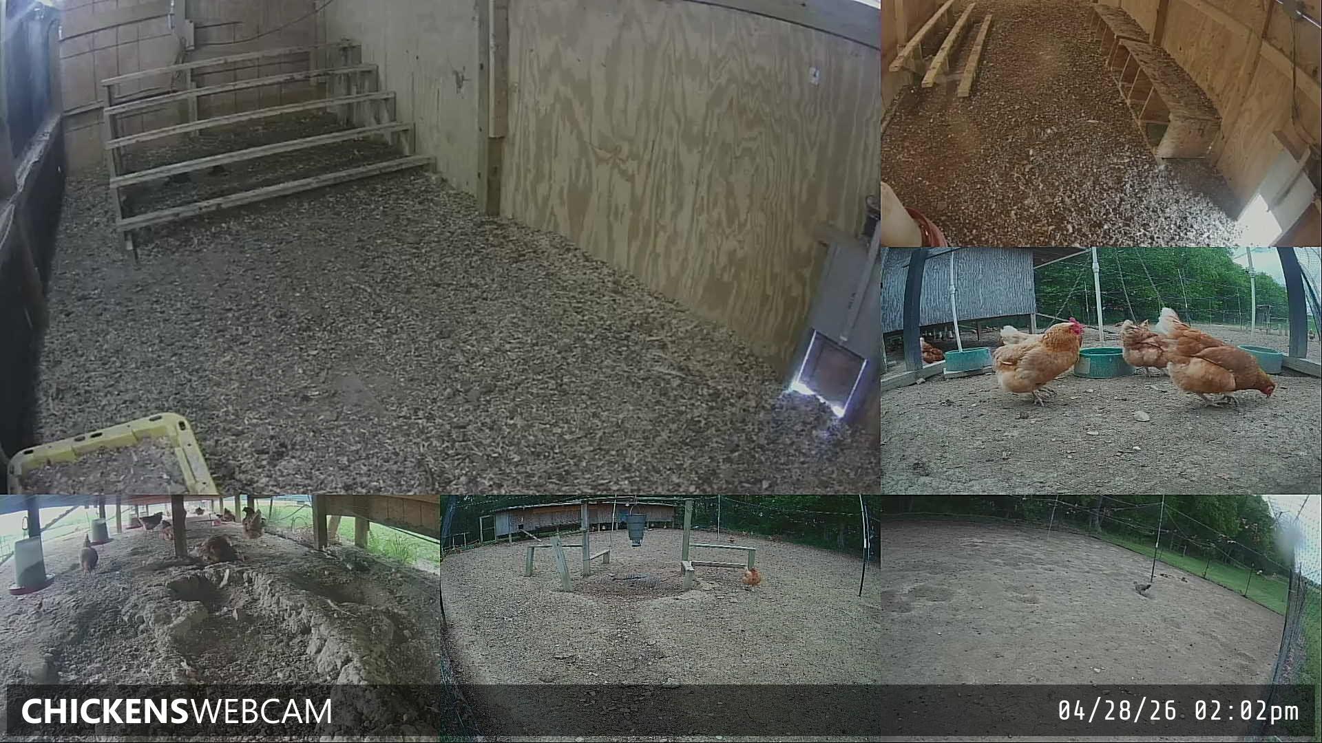 Twitch Stream Preview