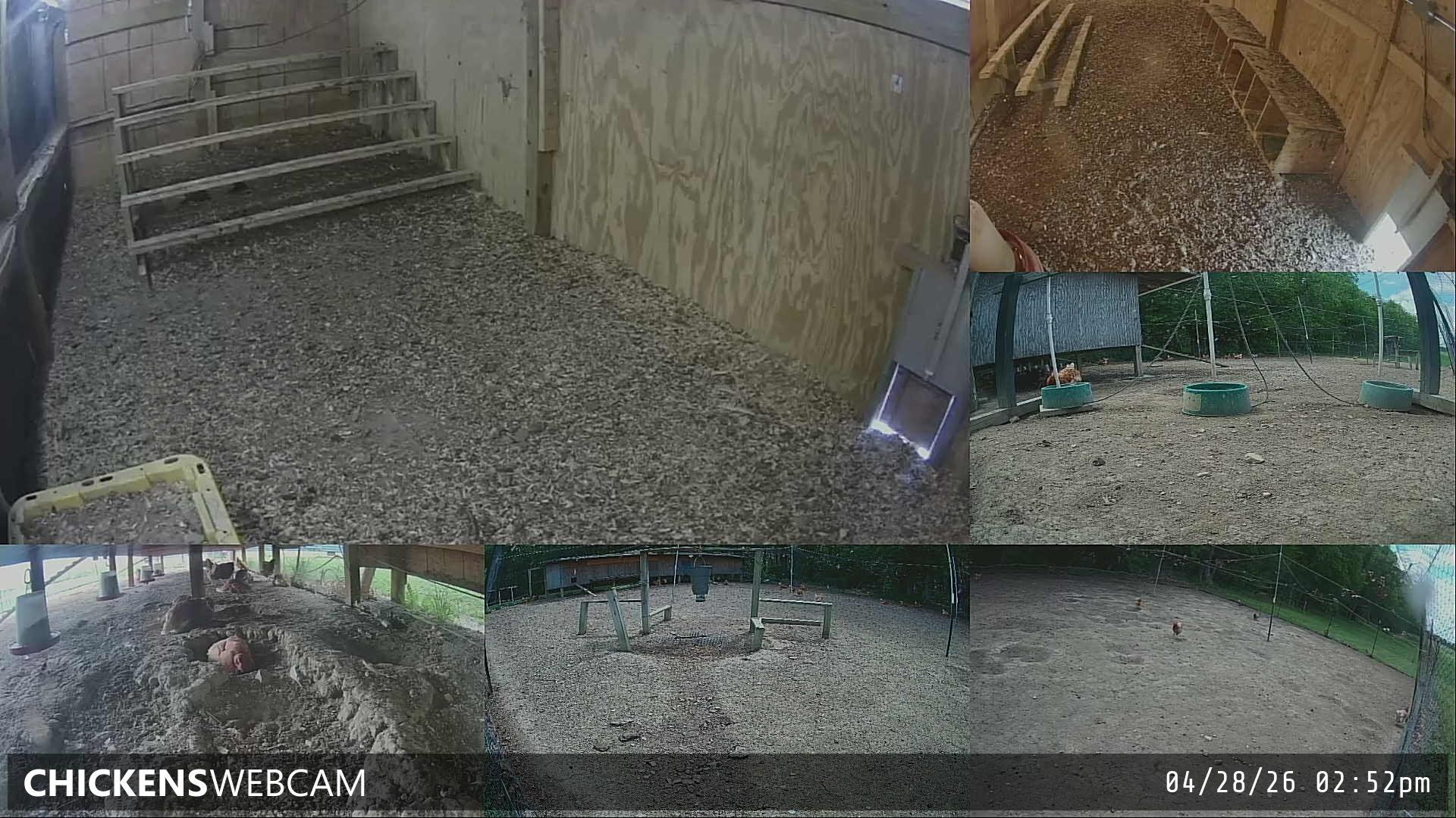 Twitch Stream Preview