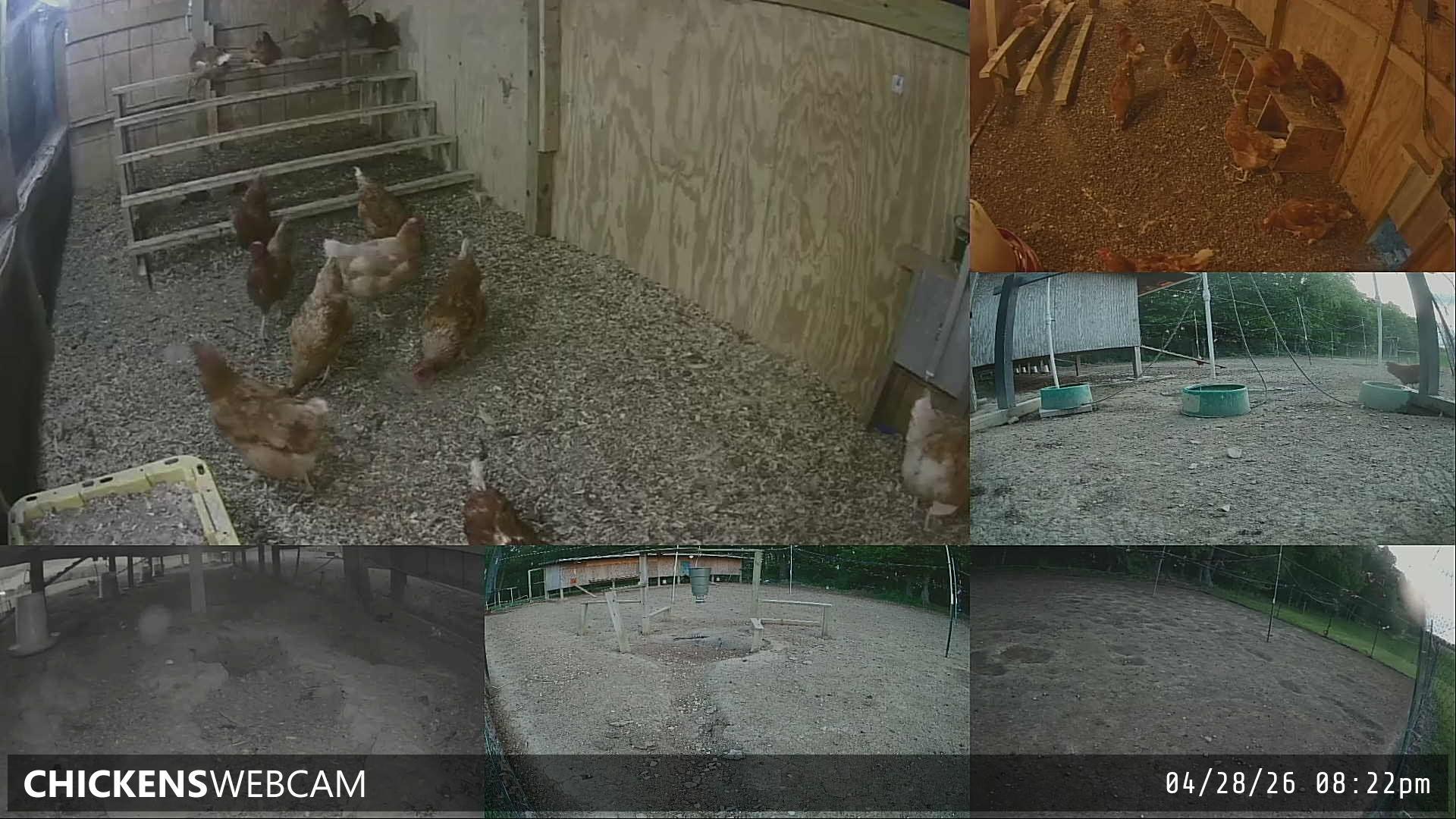 Twitch Stream Preview