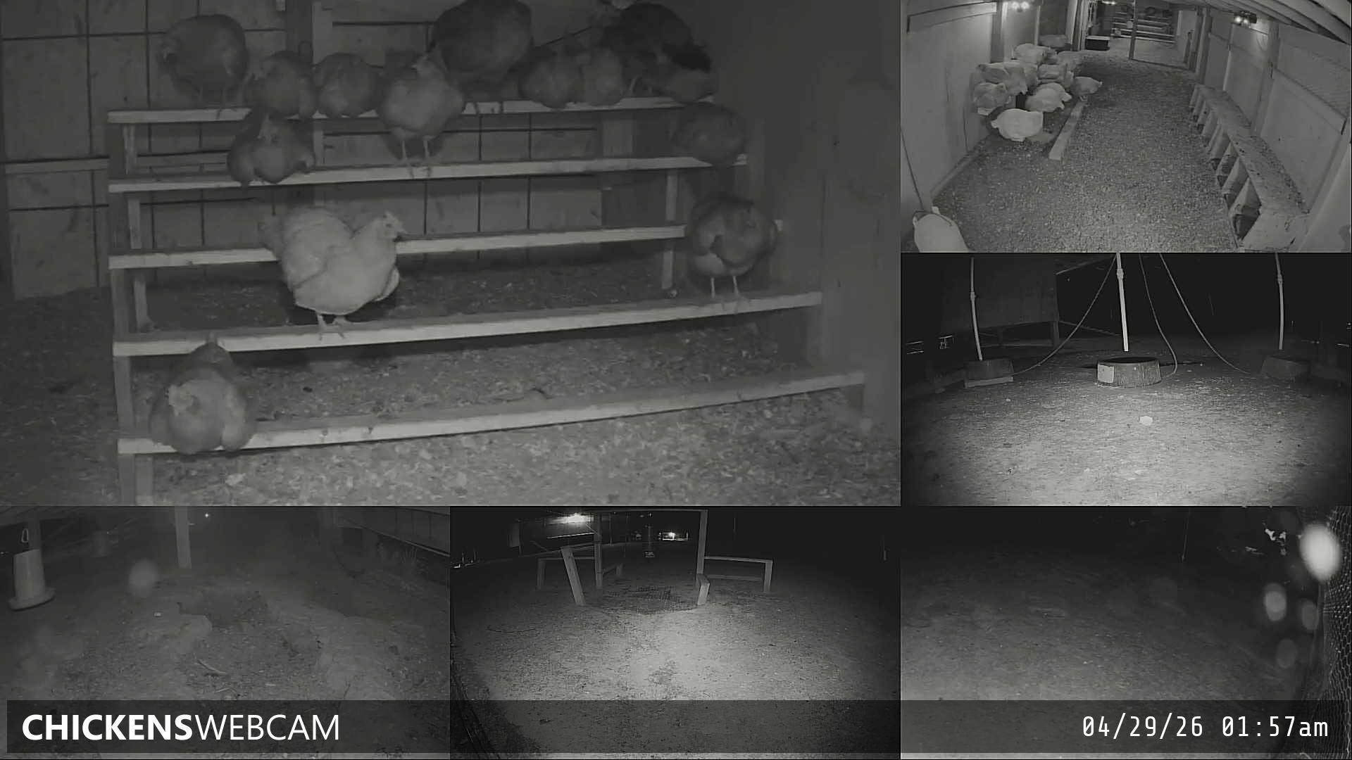 Twitch Stream Preview