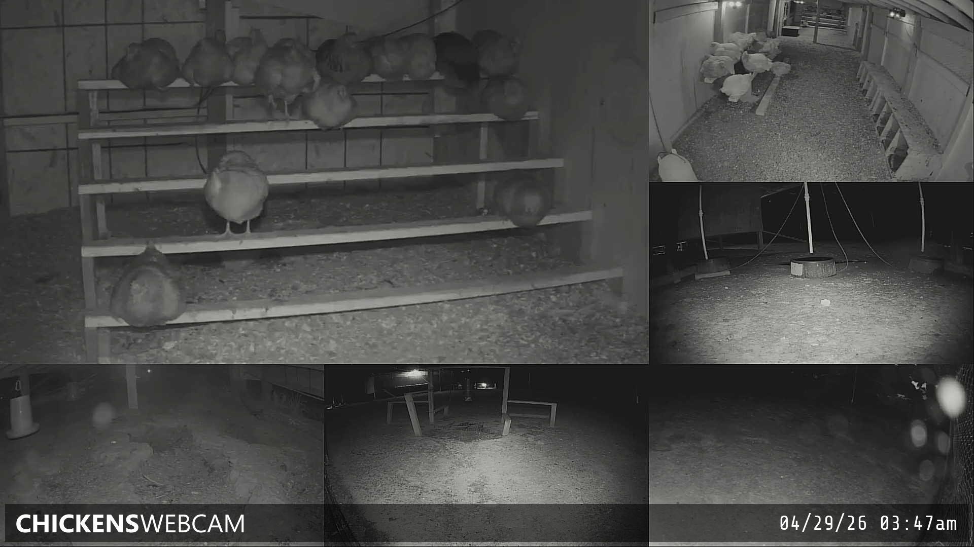 Twitch Stream Preview