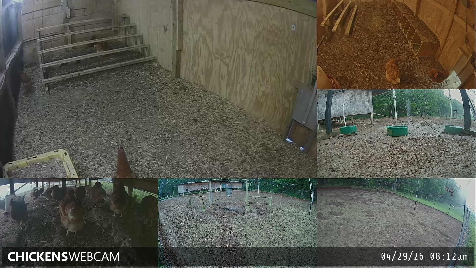 Twitch Stream Preview