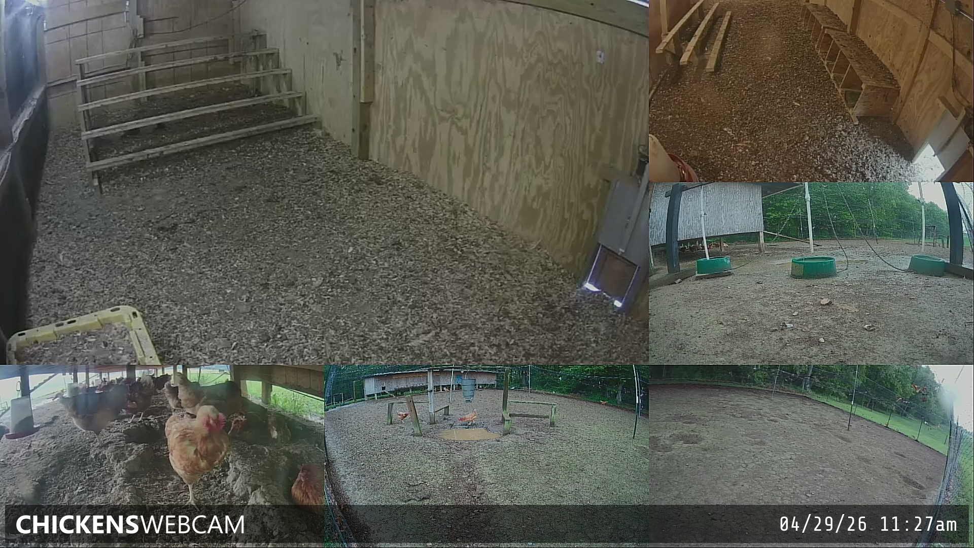 Twitch Stream Preview