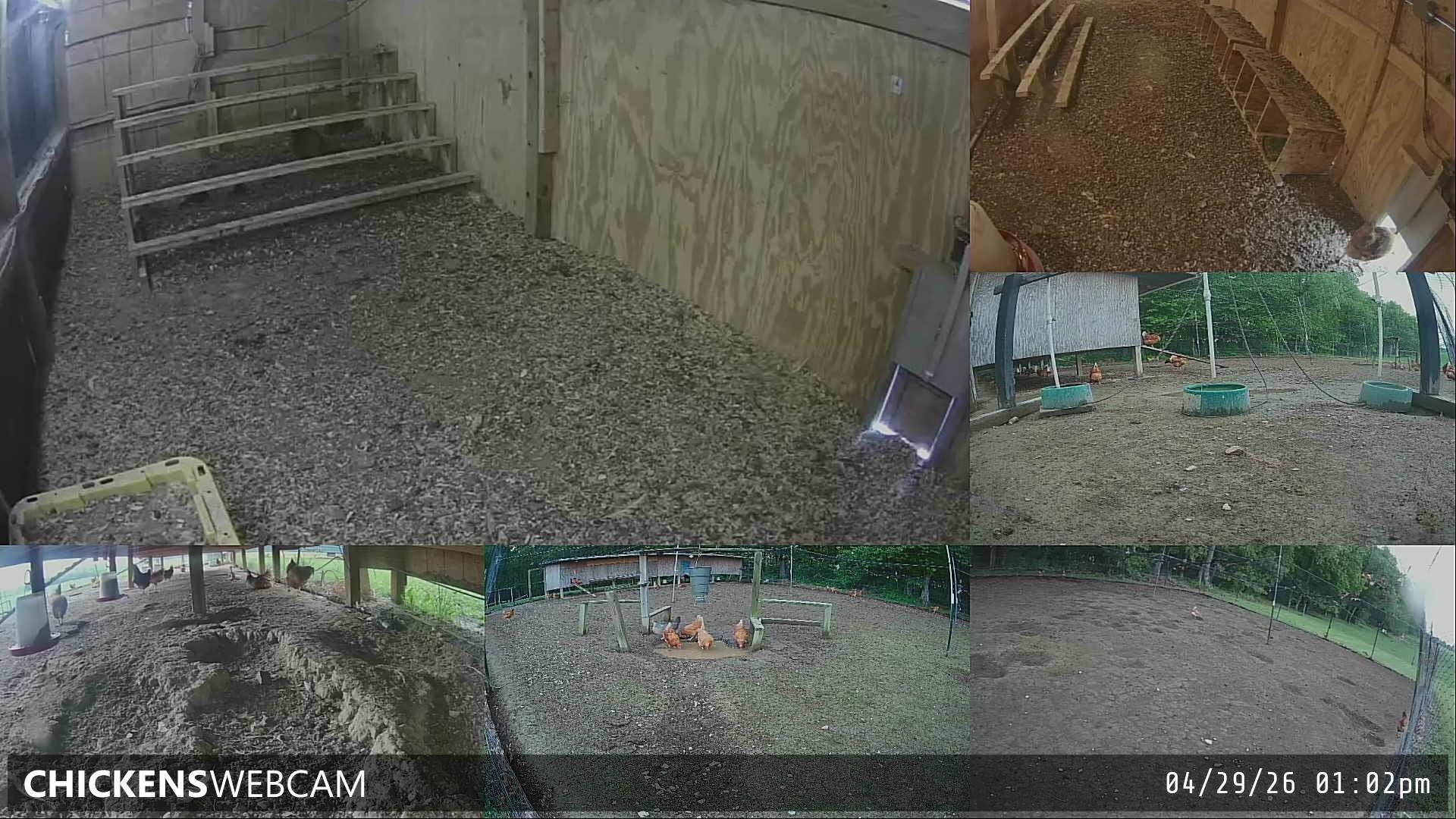 Twitch Stream Preview