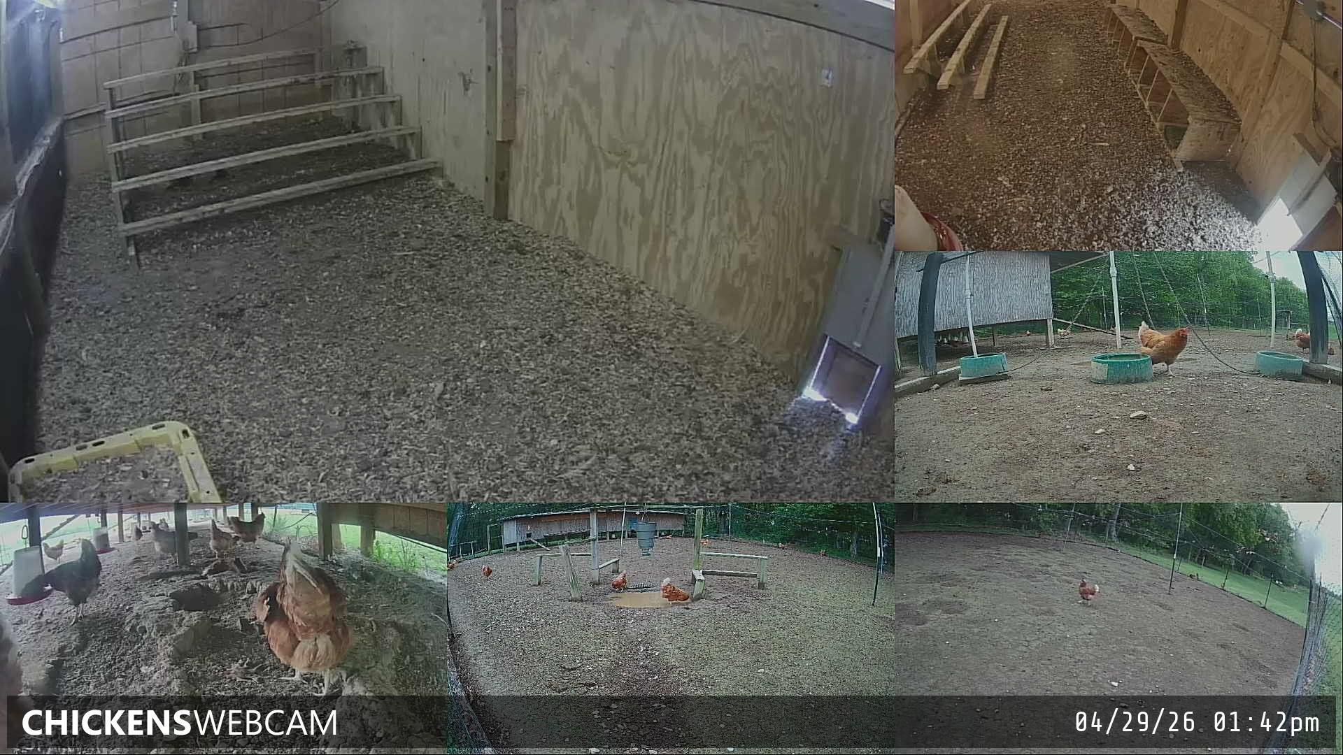 Twitch Stream Preview