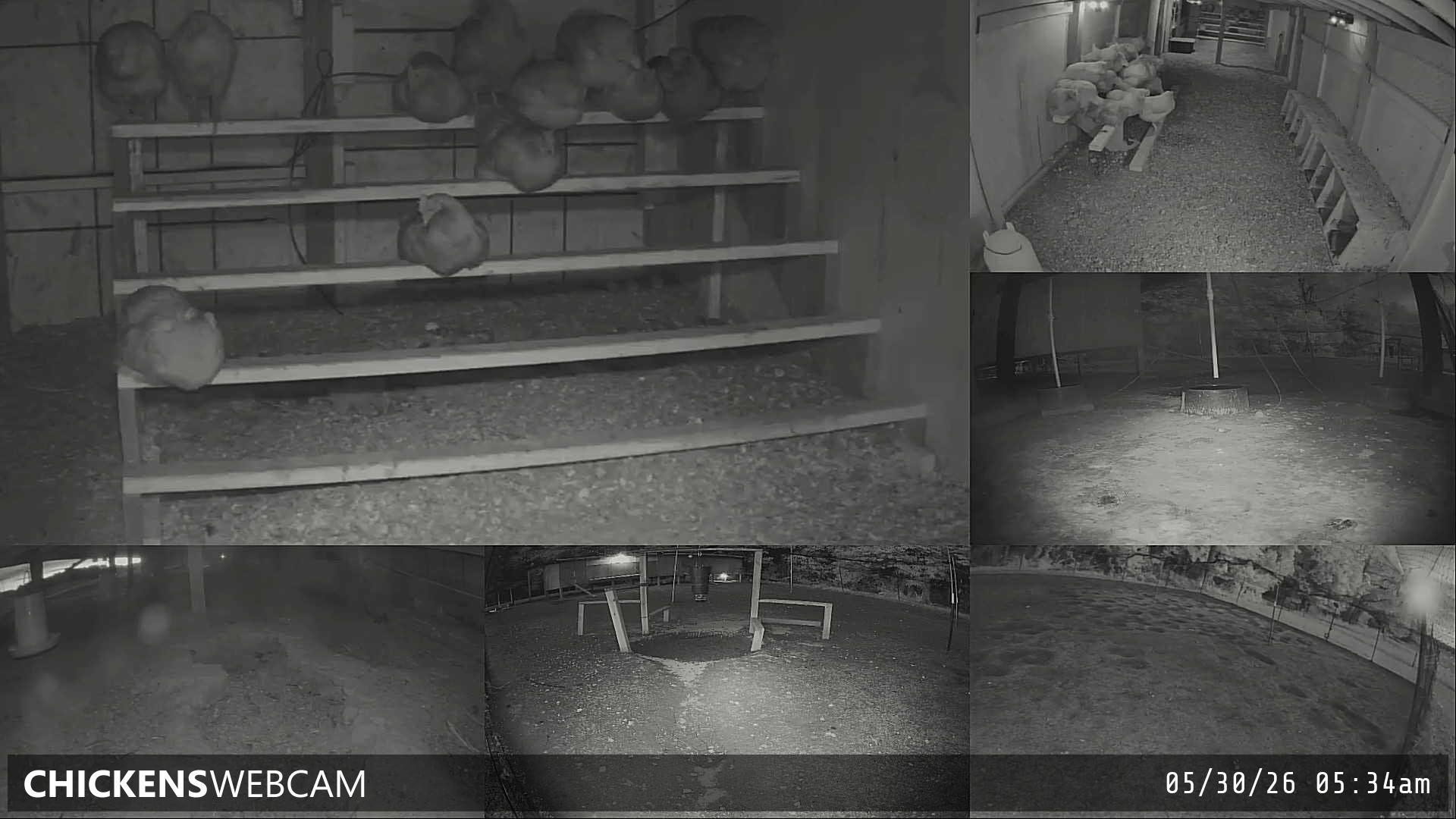 Twitch Stream Preview